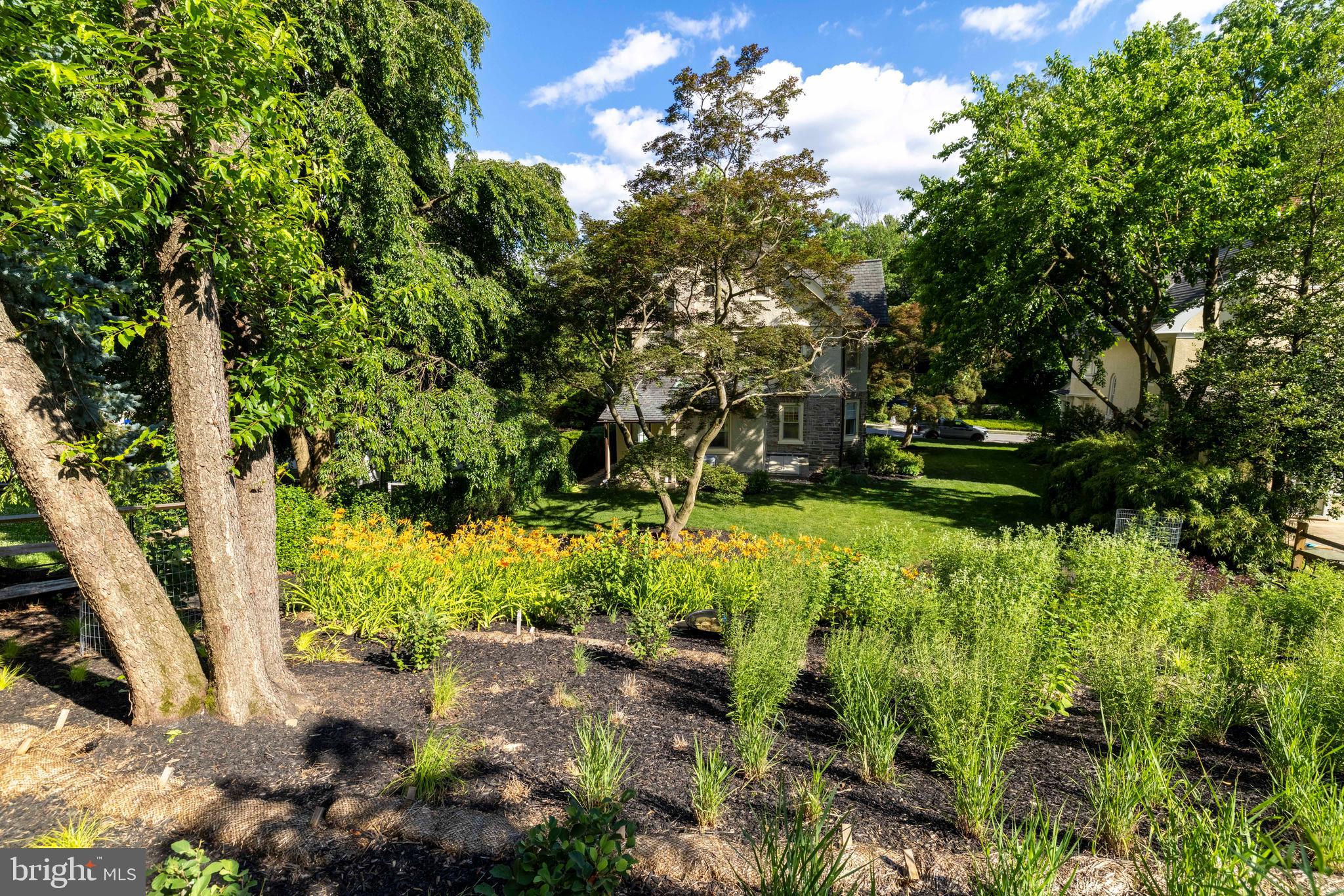 245 MATHER ROAD