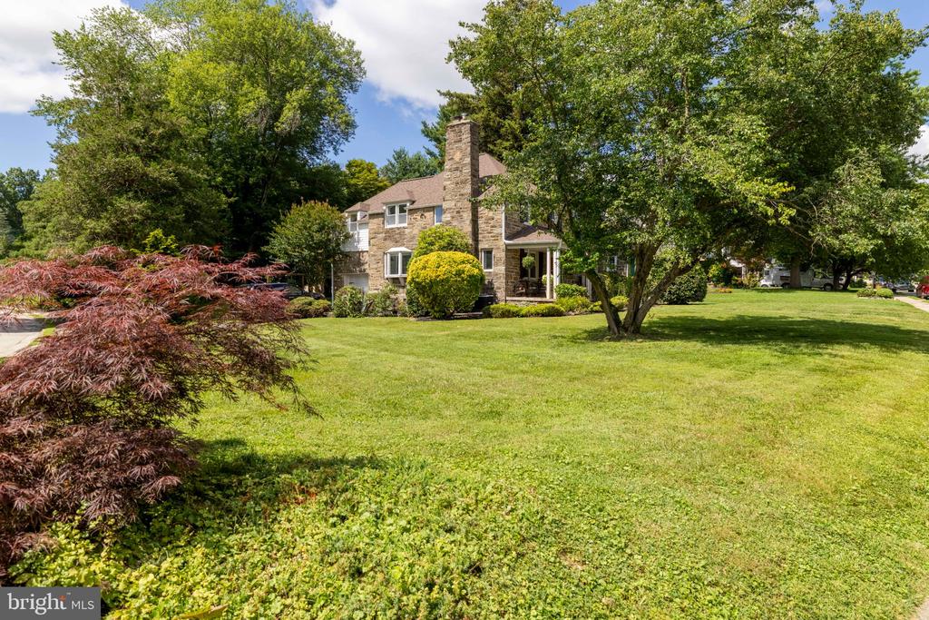 300 CHERRY LANE
