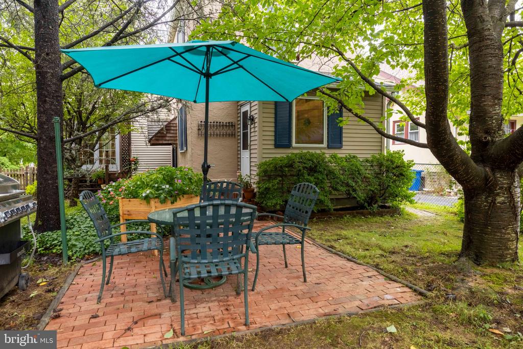 223 CLIVEDEN AVENUE