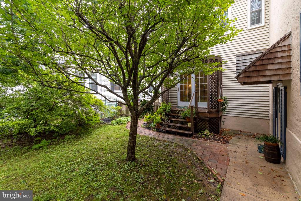 223 CLIVEDEN AVENUE
