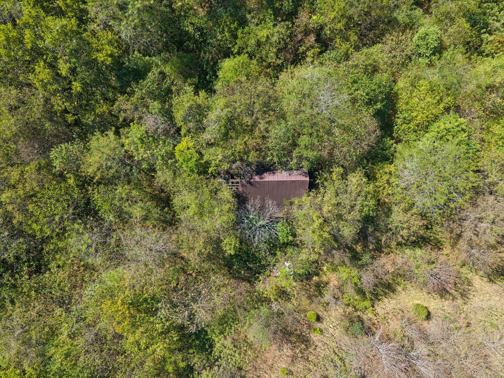 1043 Madison Creek Rd