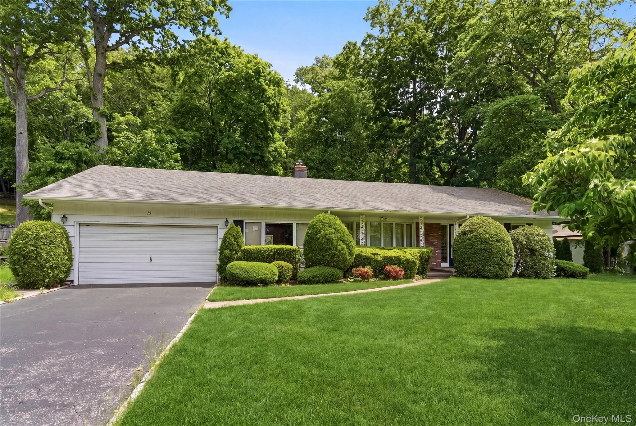 75 Mimosa Drive