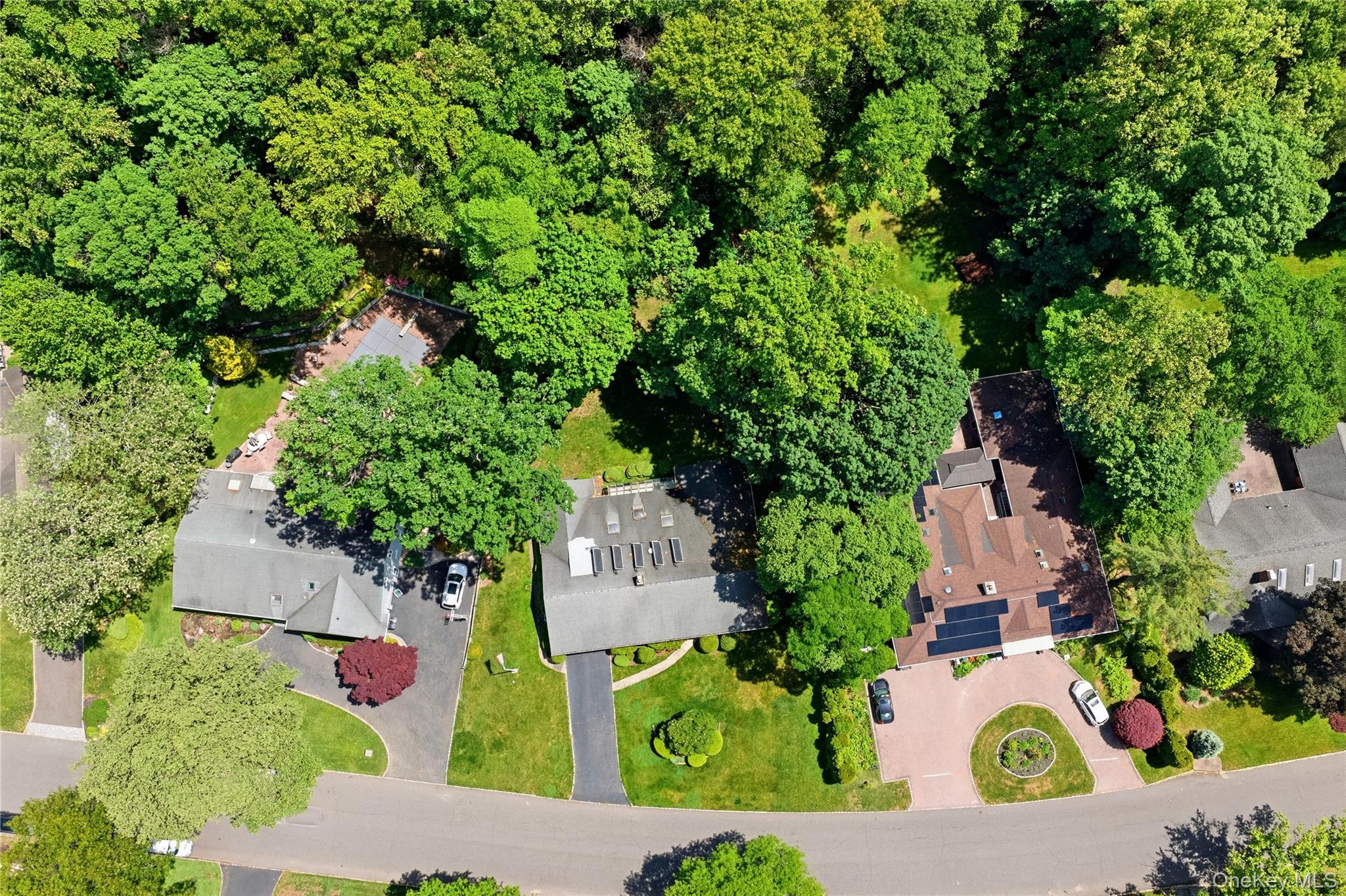 75 Mimosa Drive