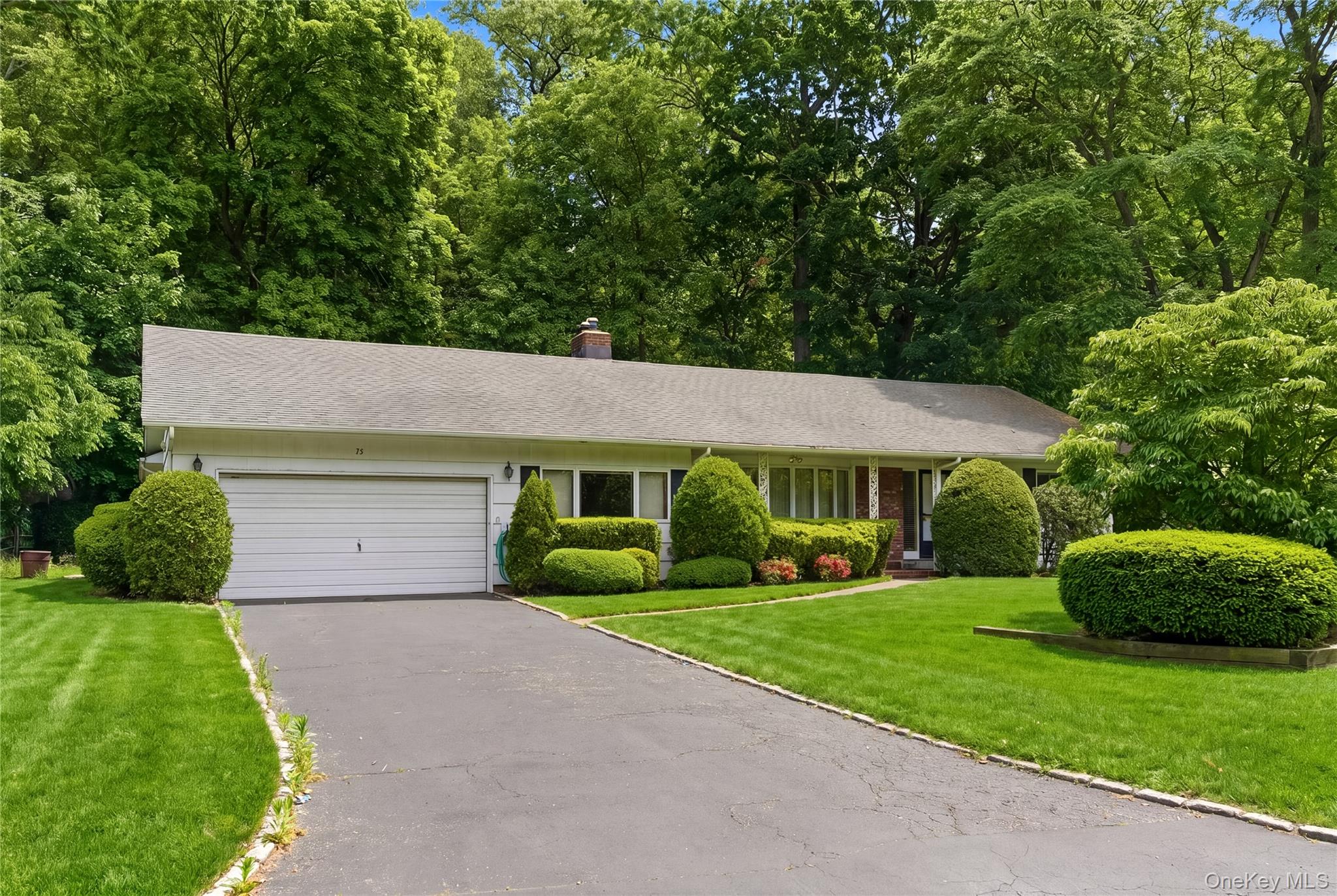 75 Mimosa Drive