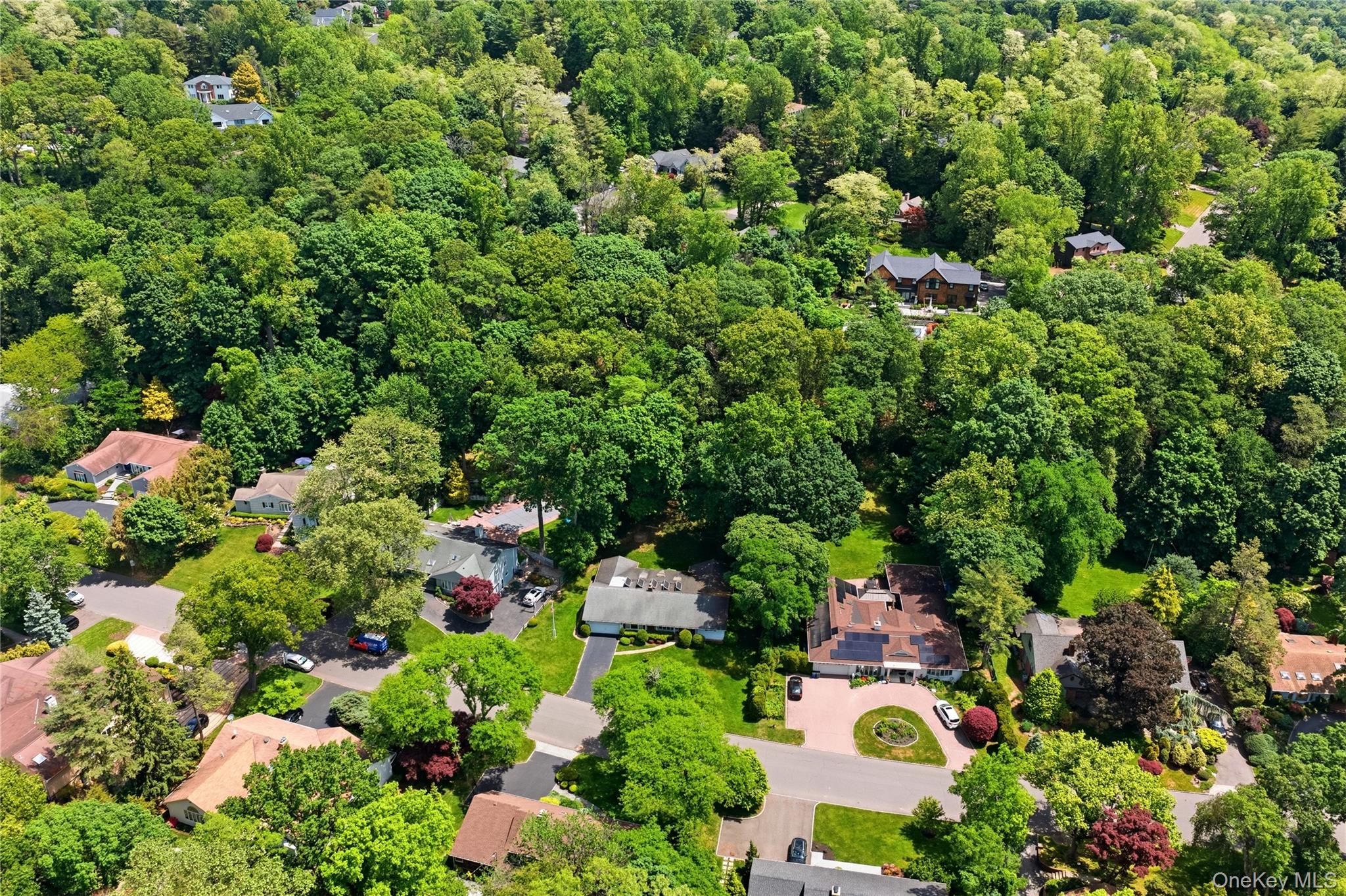 75 Mimosa Drive