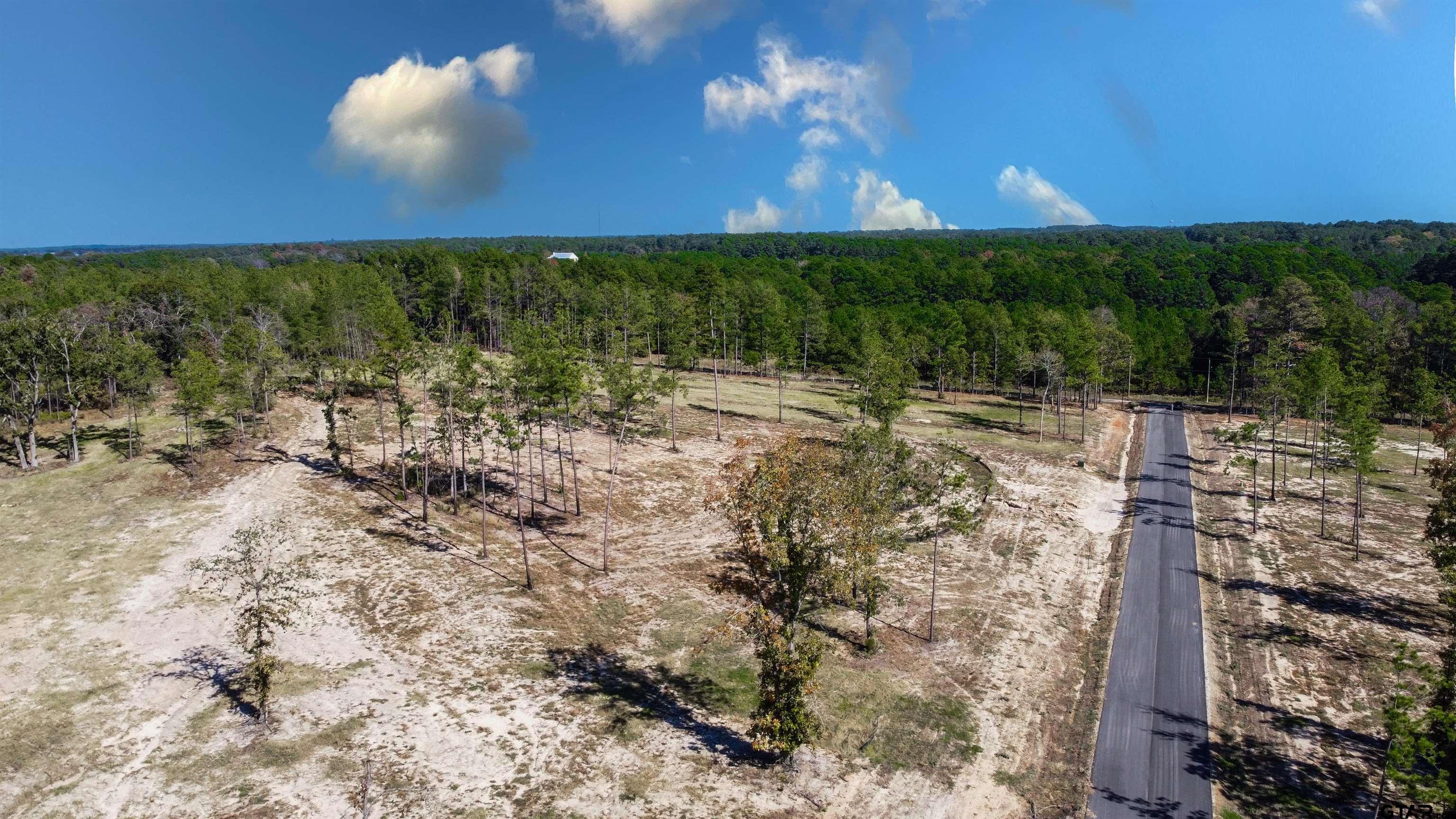 15975 Aniston Ln - (LOT 10)