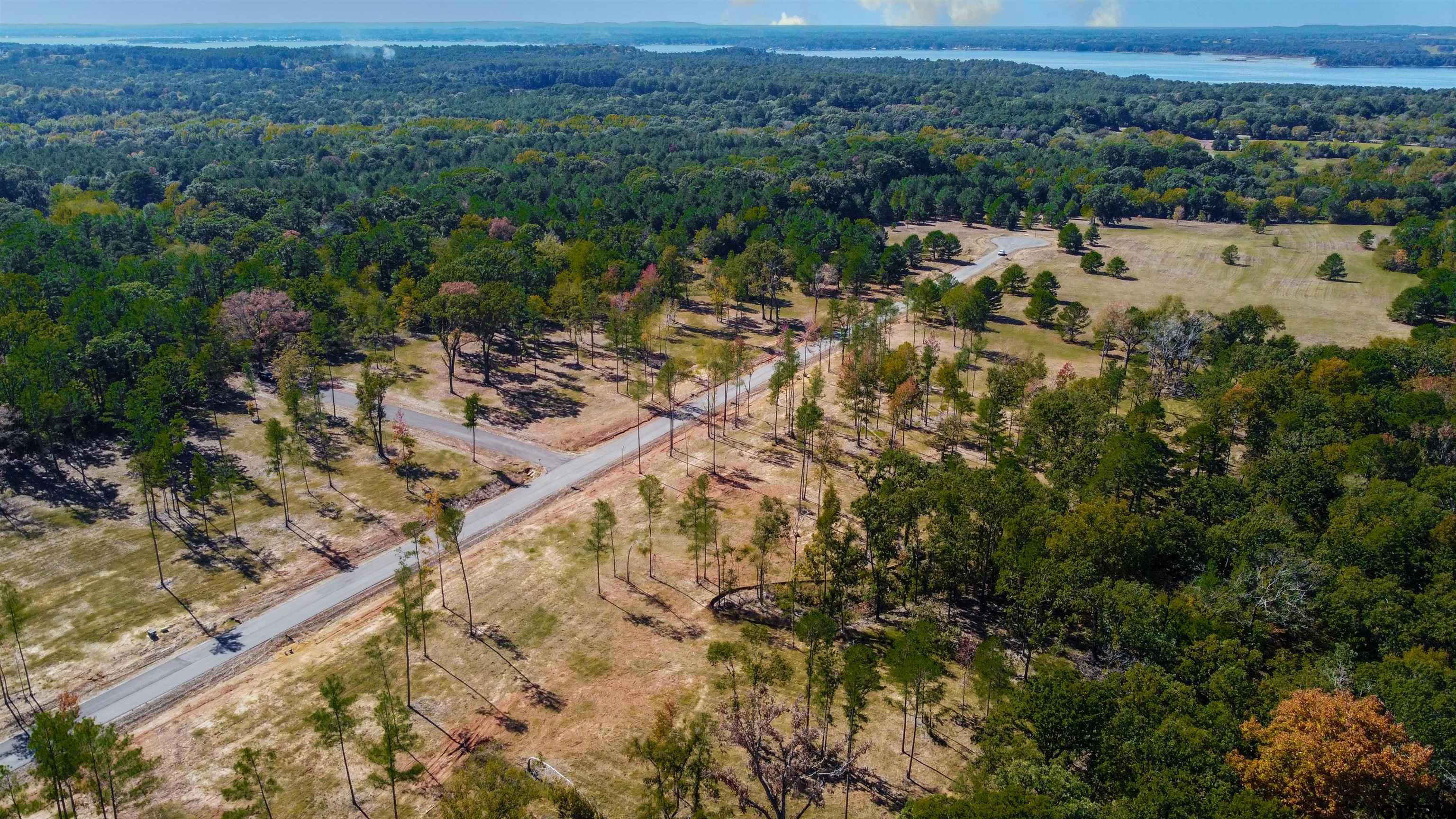 15975 Aniston Ln - (LOT 10)