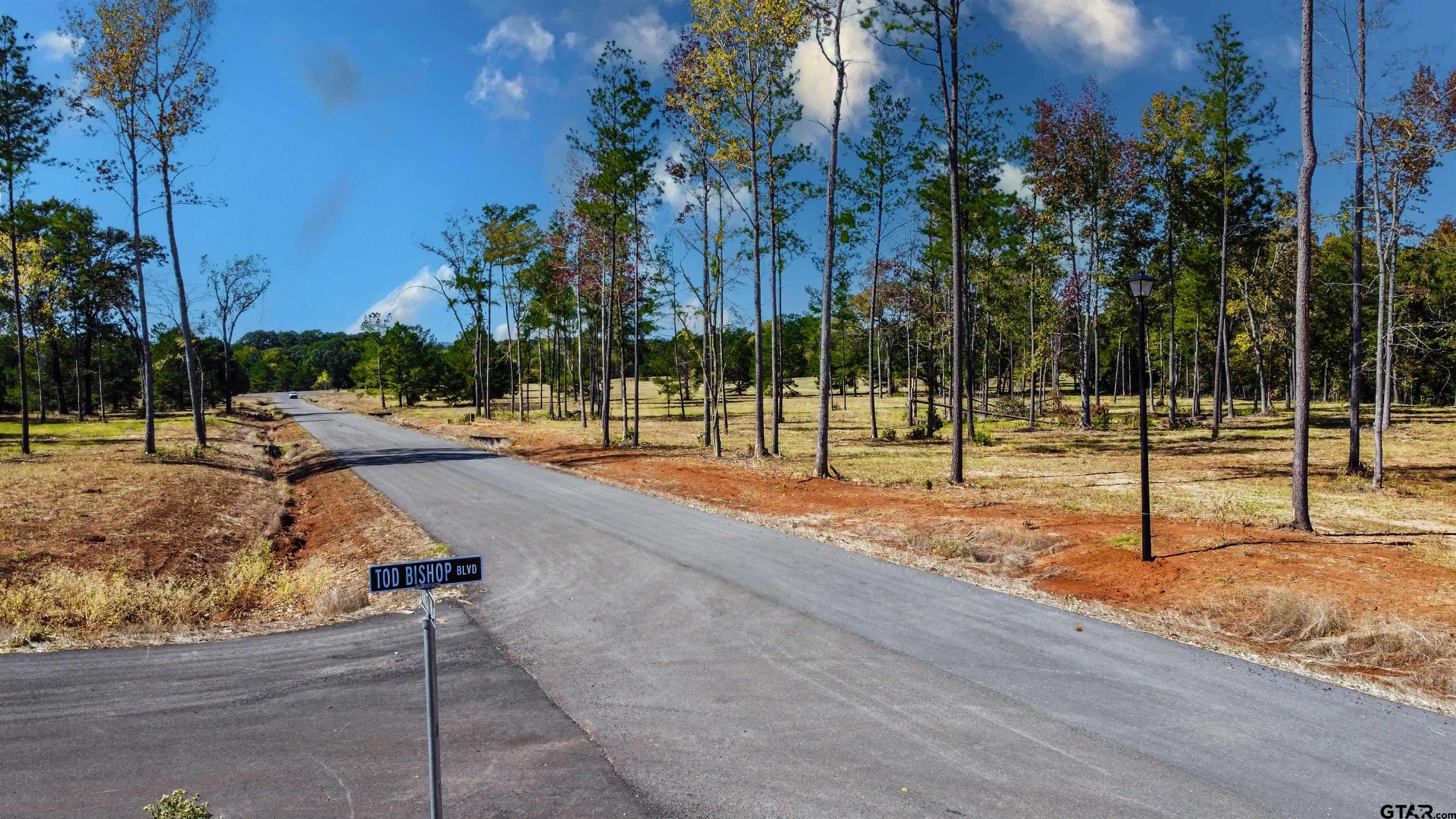 15975 Aniston Ln - (LOT 10)