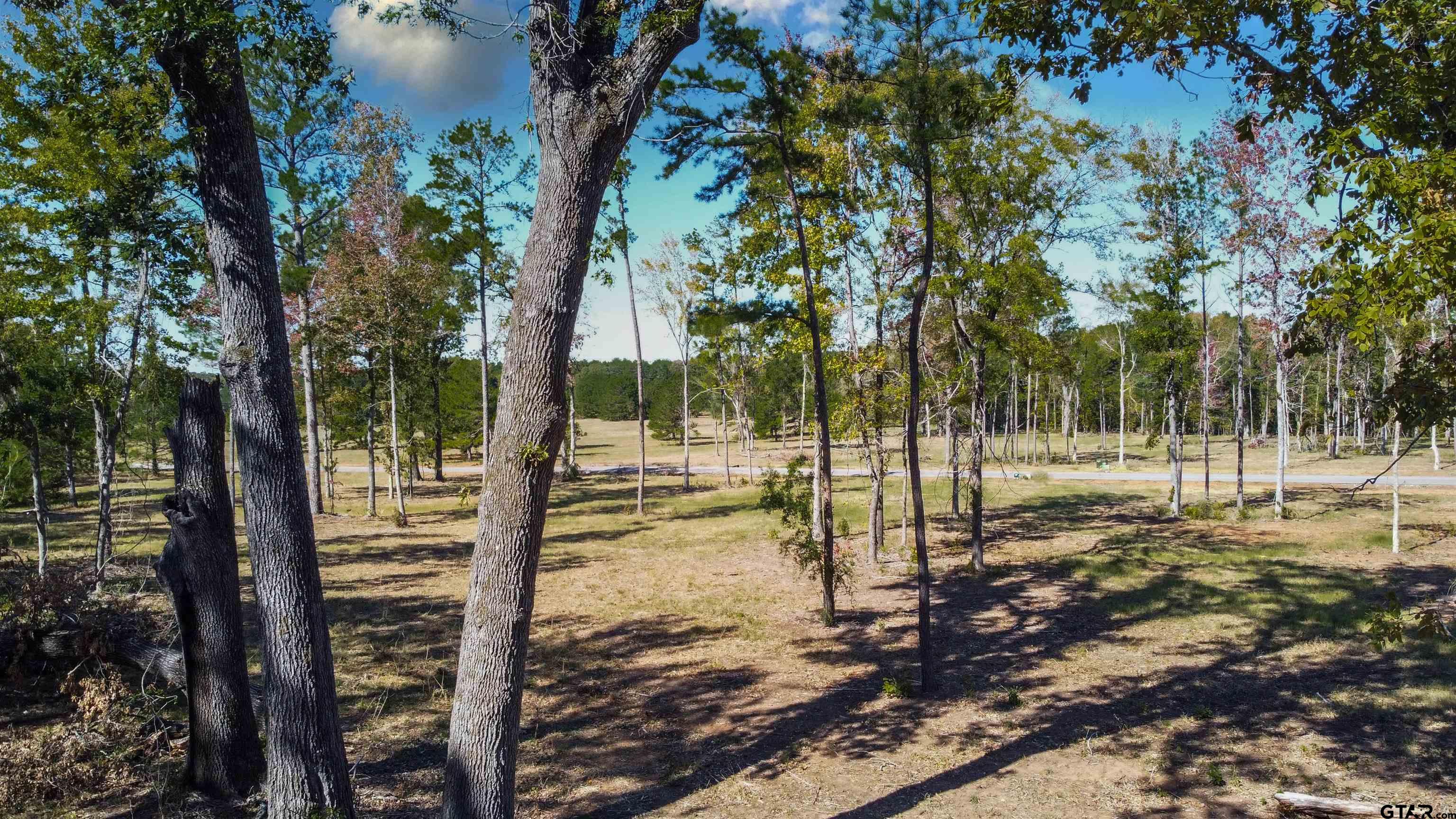 15975 Aniston Ln - (LOT 10)