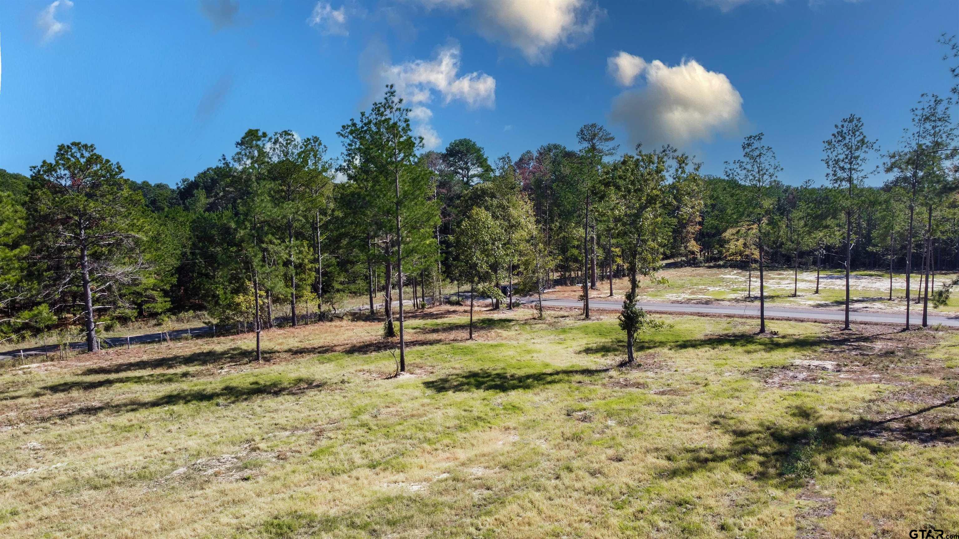 15975 Aniston Ln - (LOT 10)