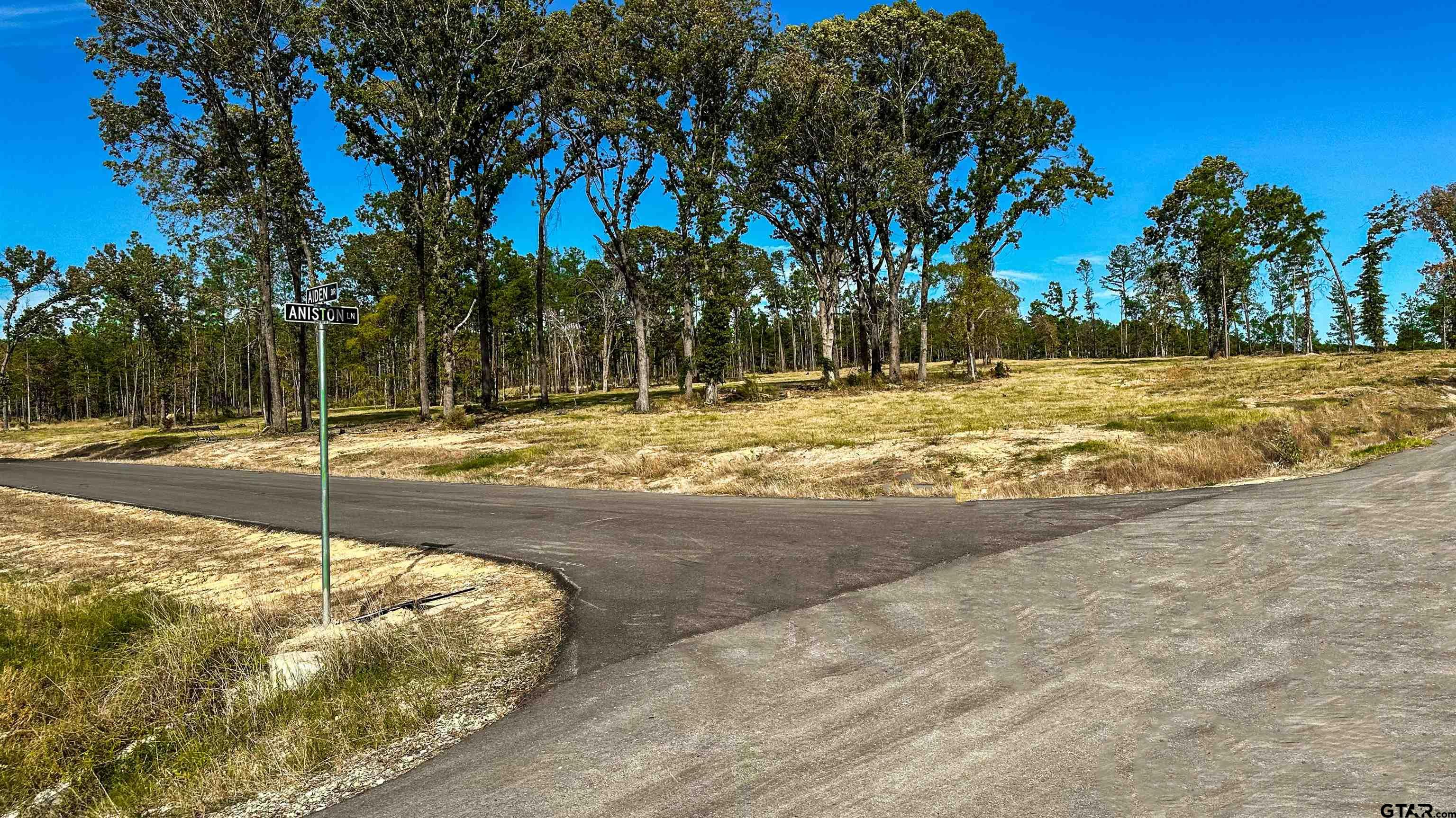 15975 Aniston Ln - (LOT 10)