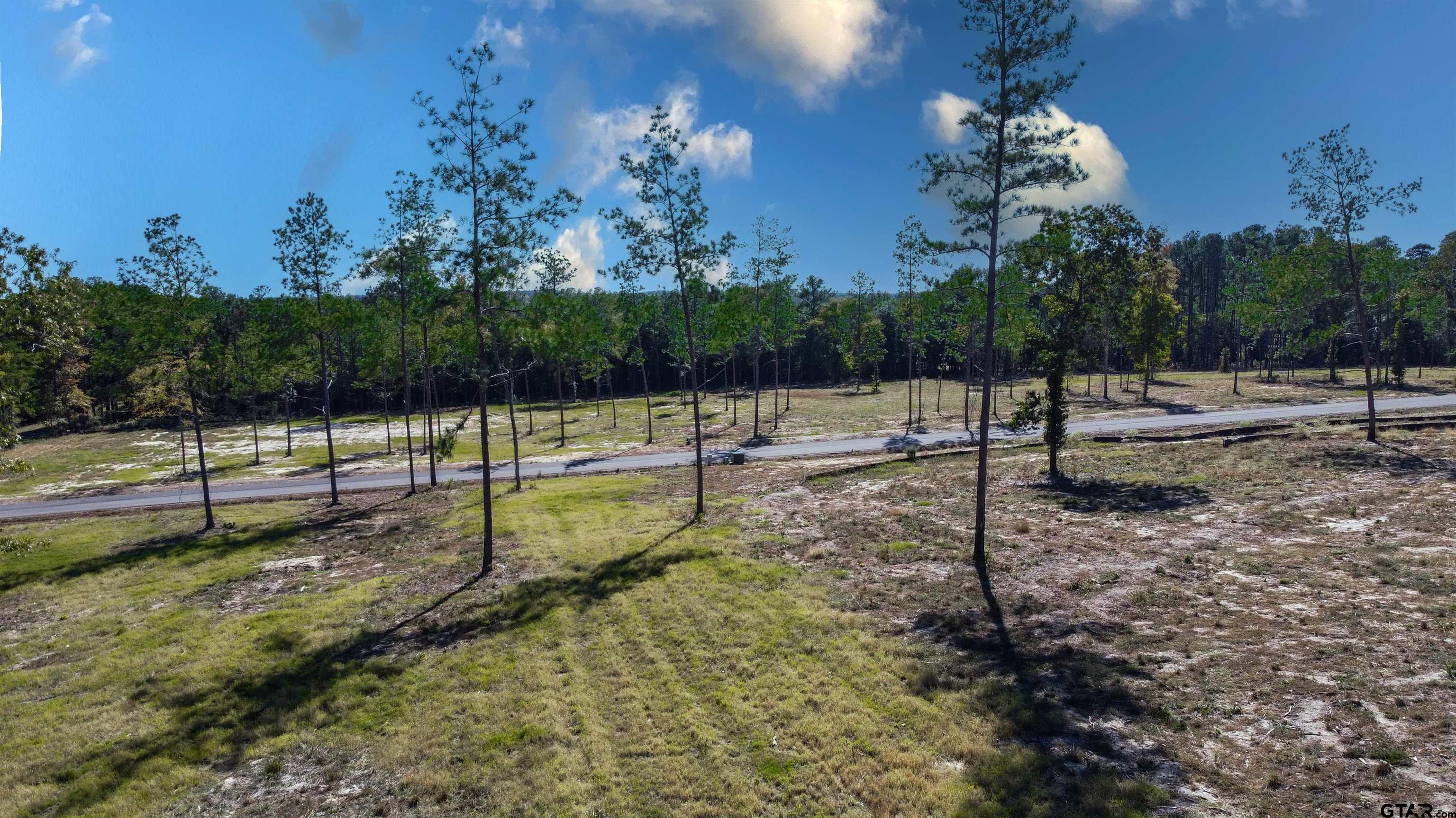 15975 Aniston Ln - (LOT 10)