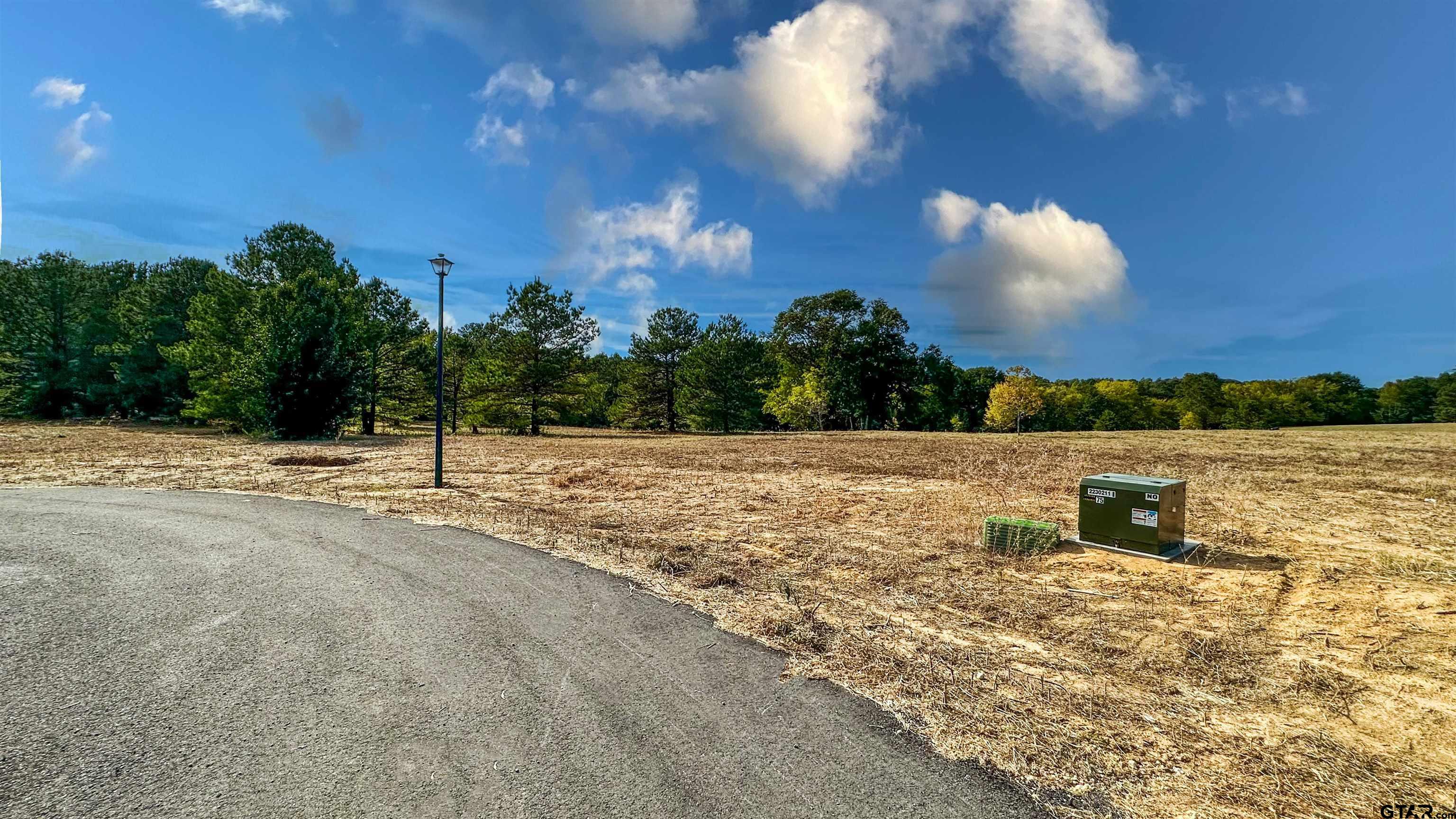 15975 Aniston Ln - (LOT 10)