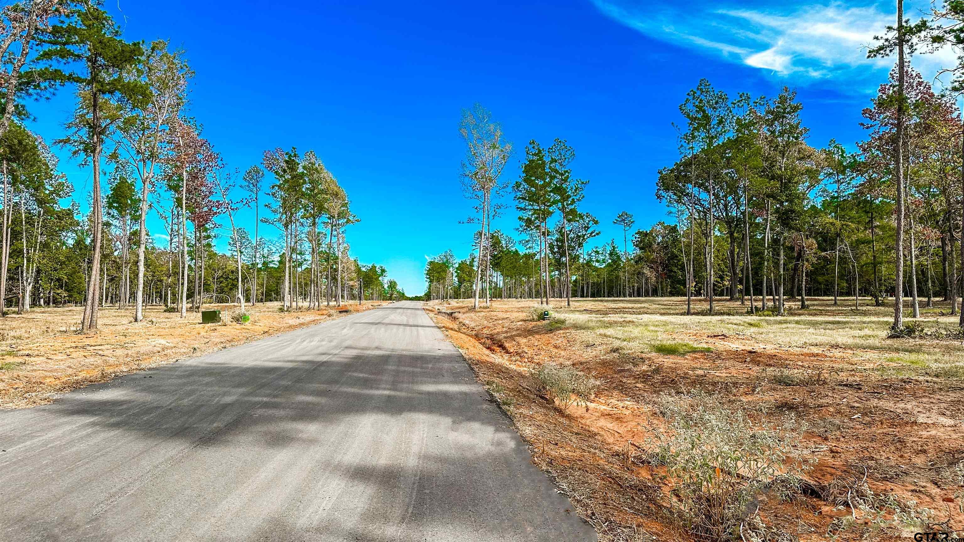 15975 Aniston Ln - (LOT 10)