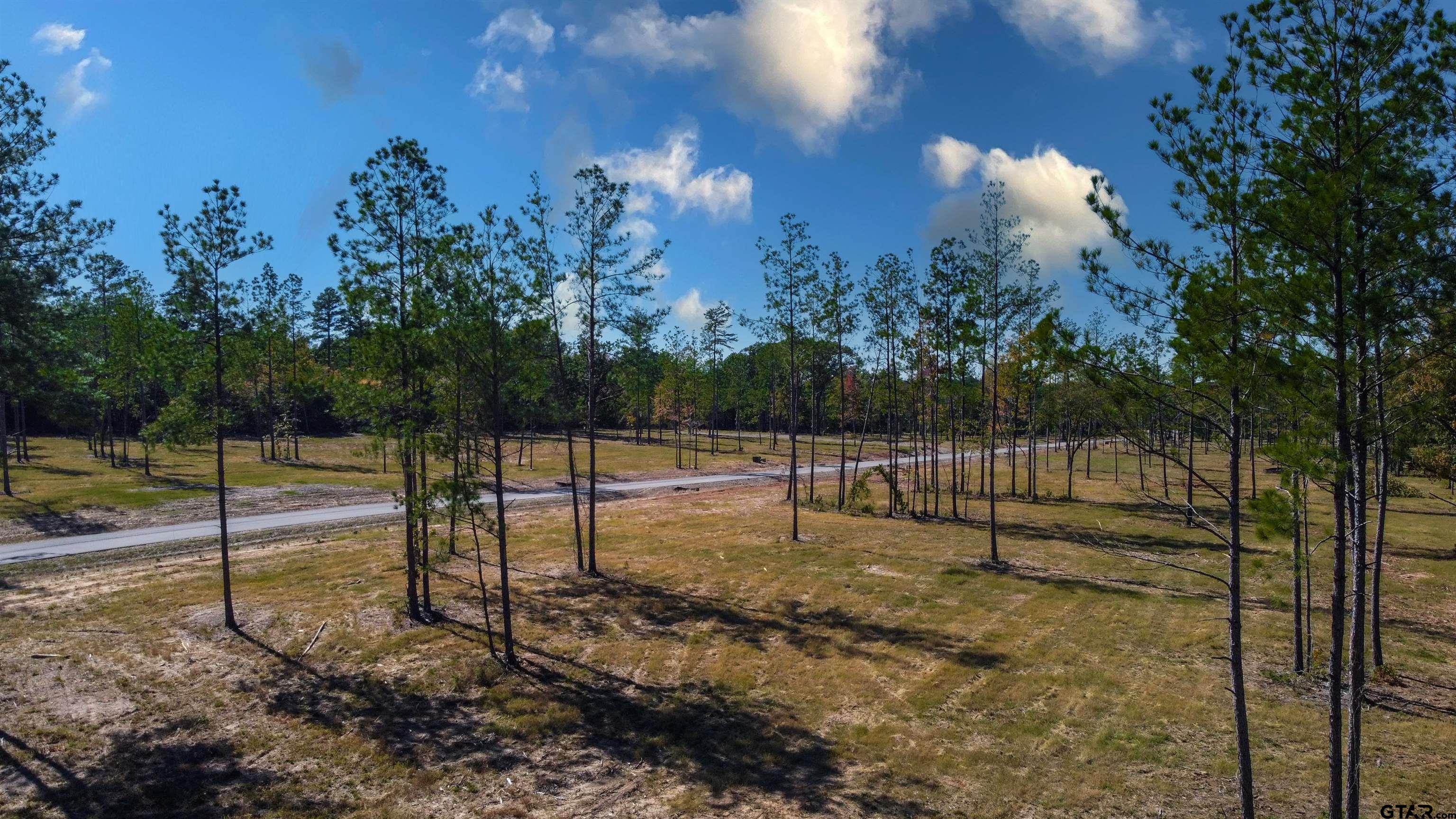 15975 Aniston Ln - (LOT 10)