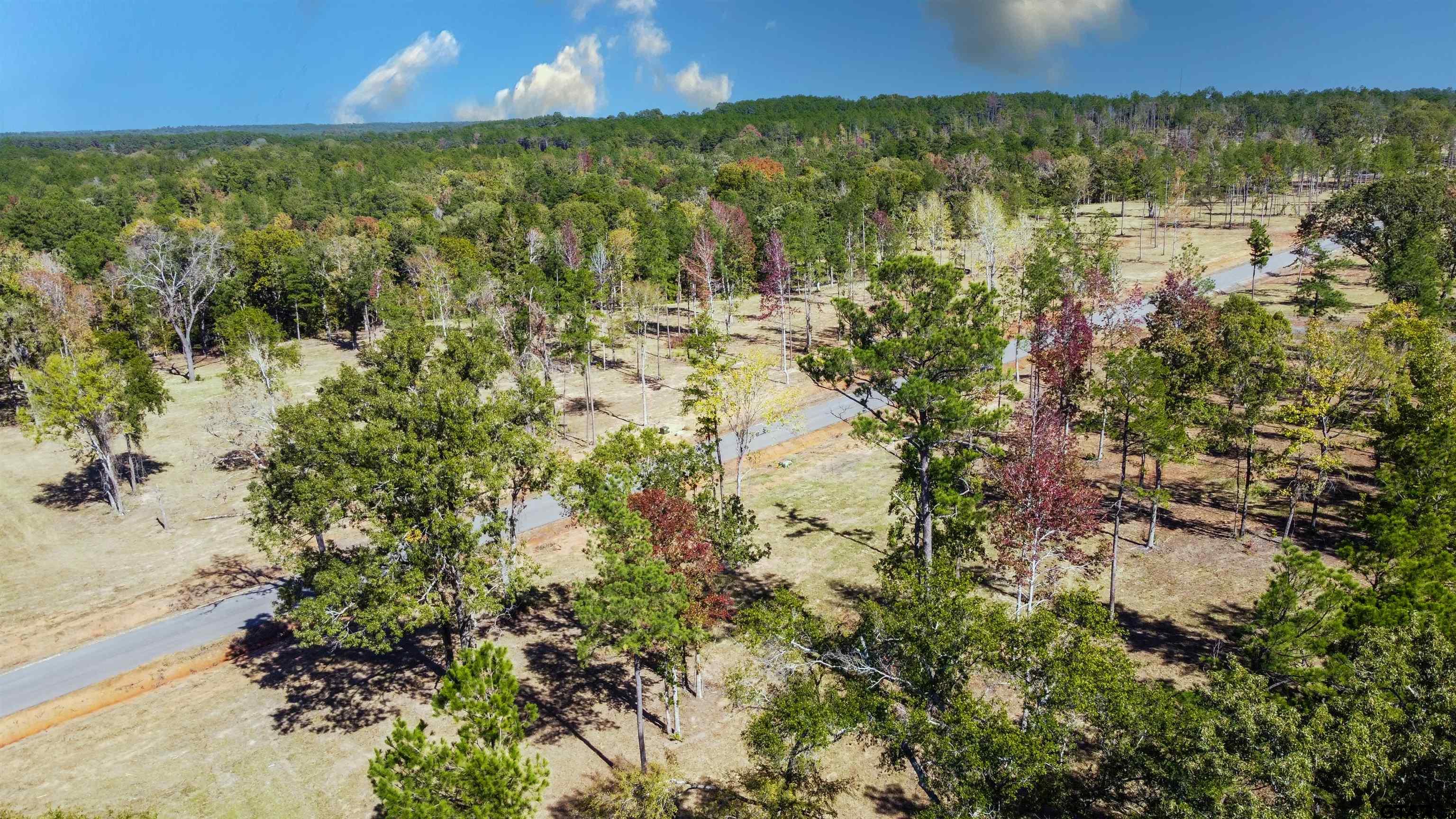 15975 Aniston Ln - (LOT 10)