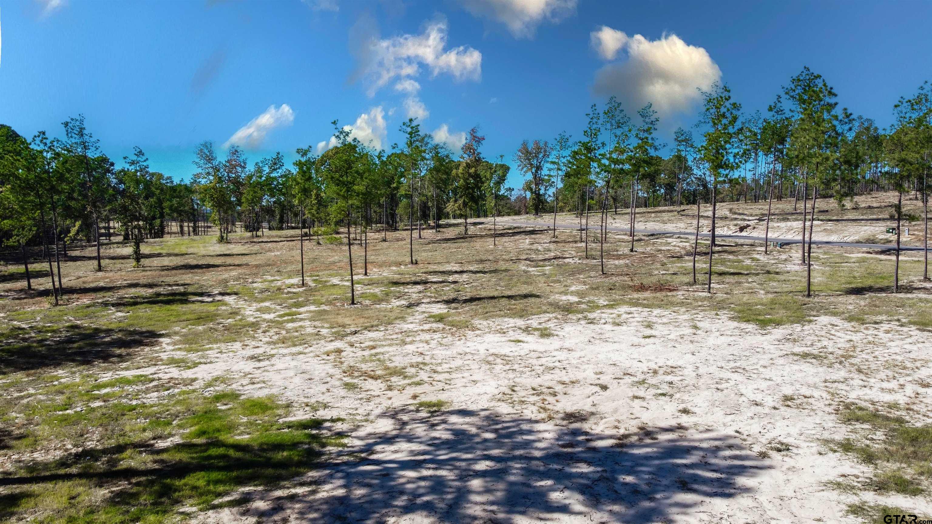 15975 Aniston Ln - (LOT 10)