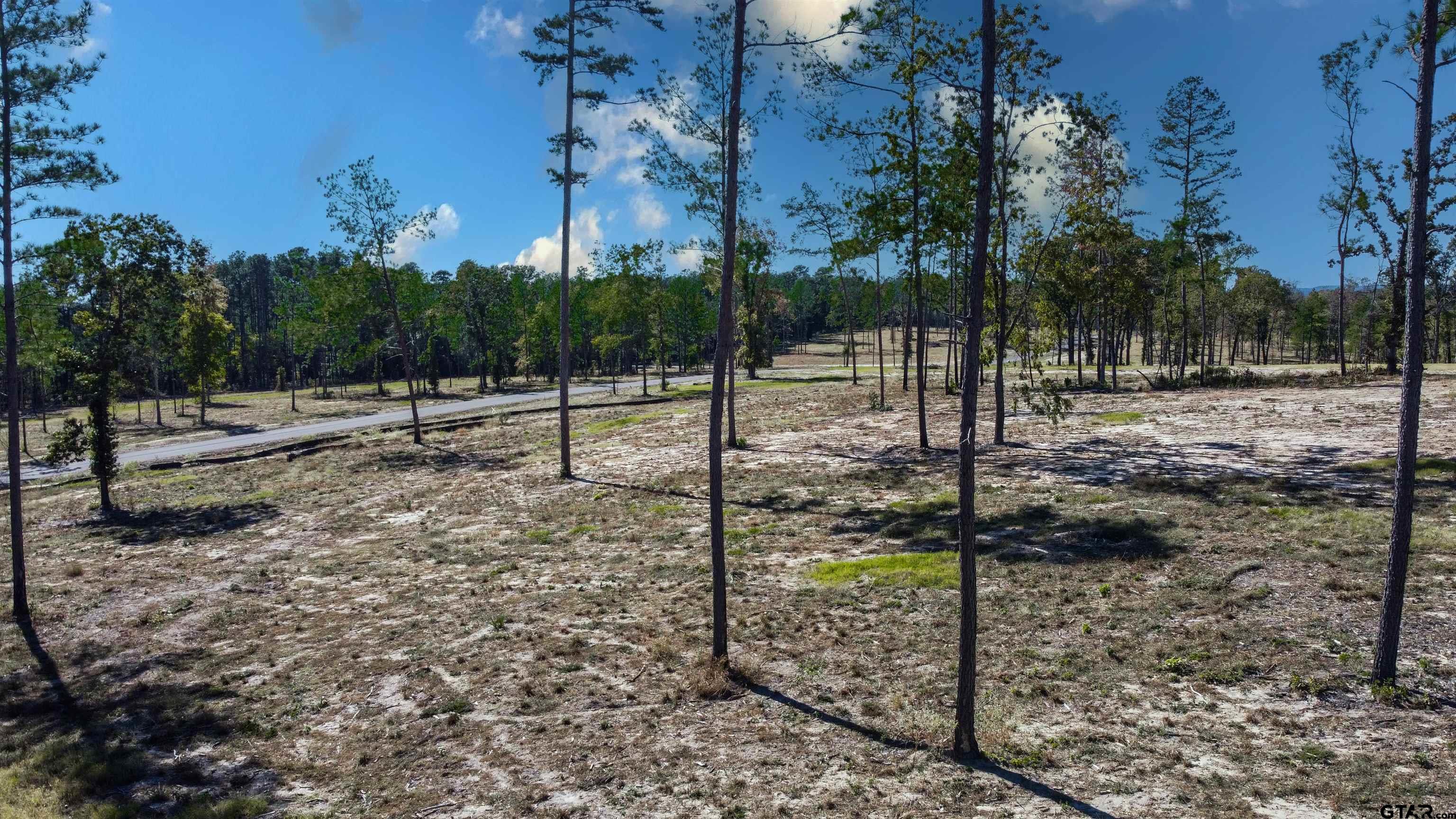 15975 Aniston Ln - (LOT 10)