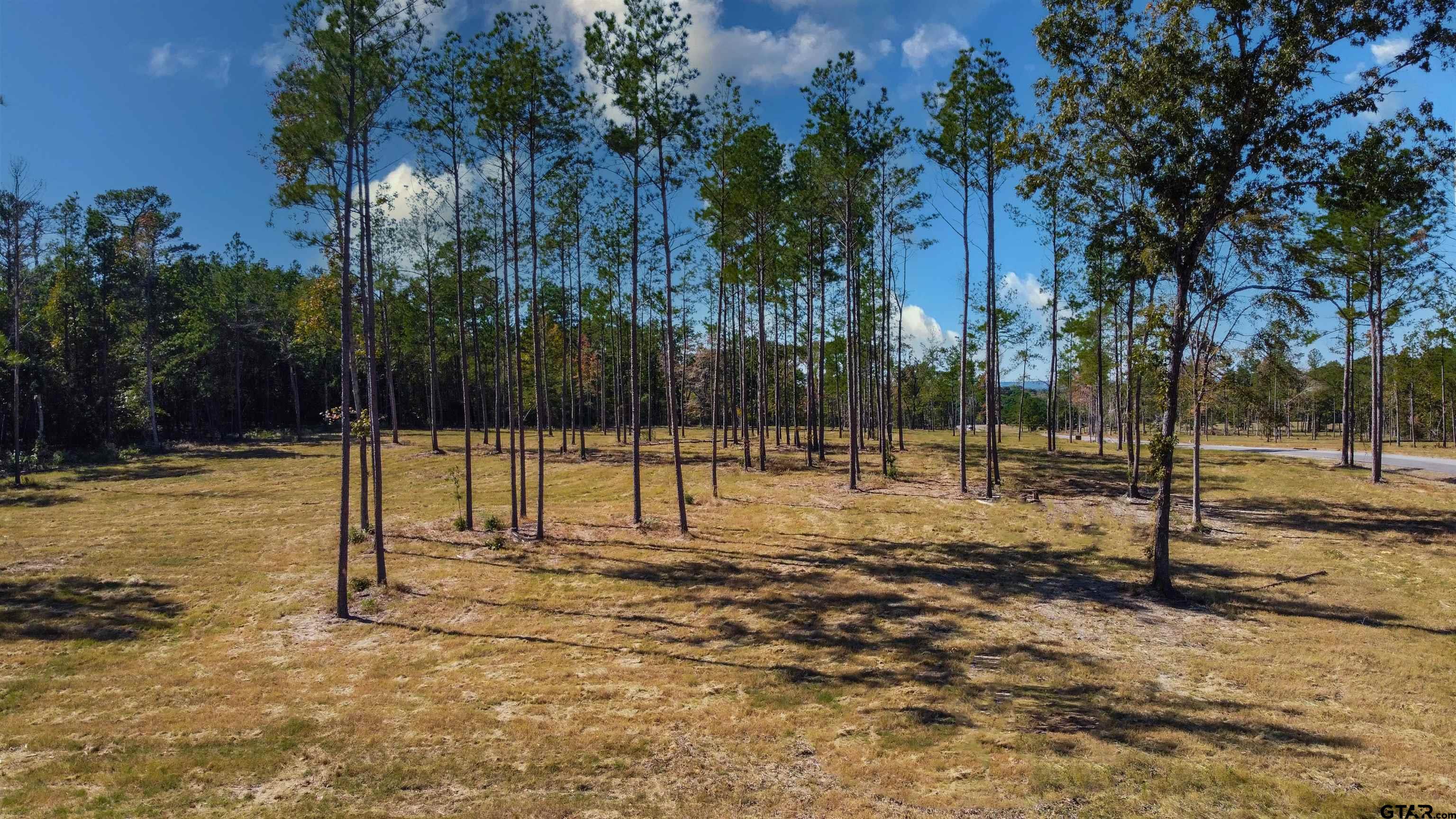 15975 Aniston Ln - (LOT 10)