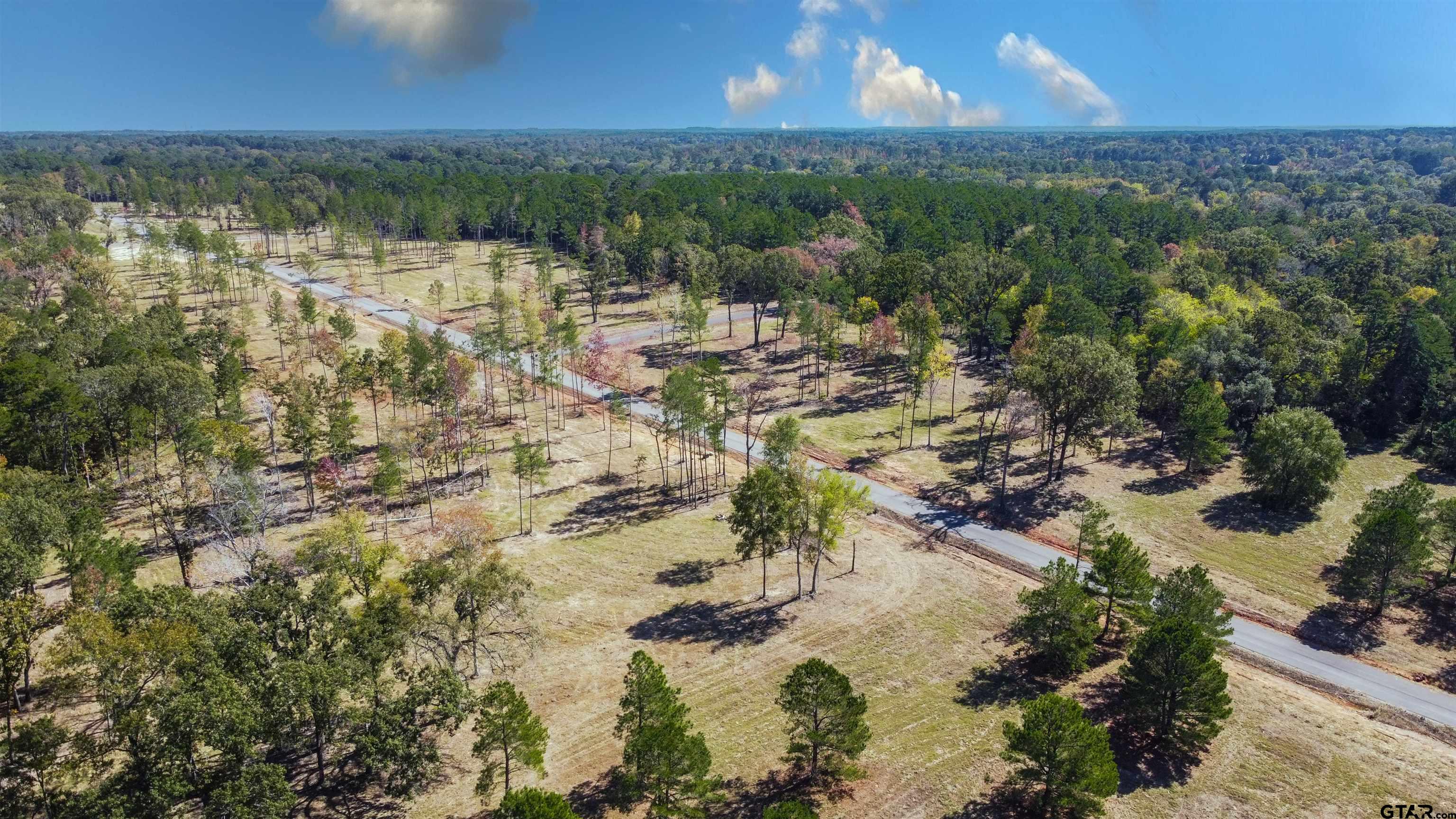 15975 Aniston Ln - (LOT 10)