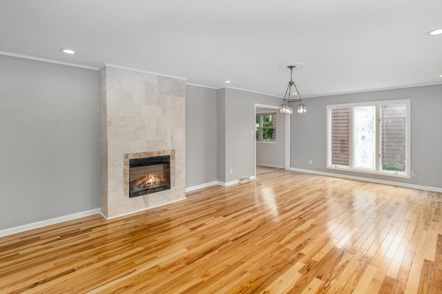 2212 Elm Tree Lane