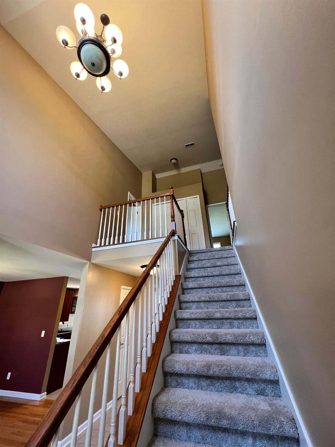 2453 Blarney Stone Drive