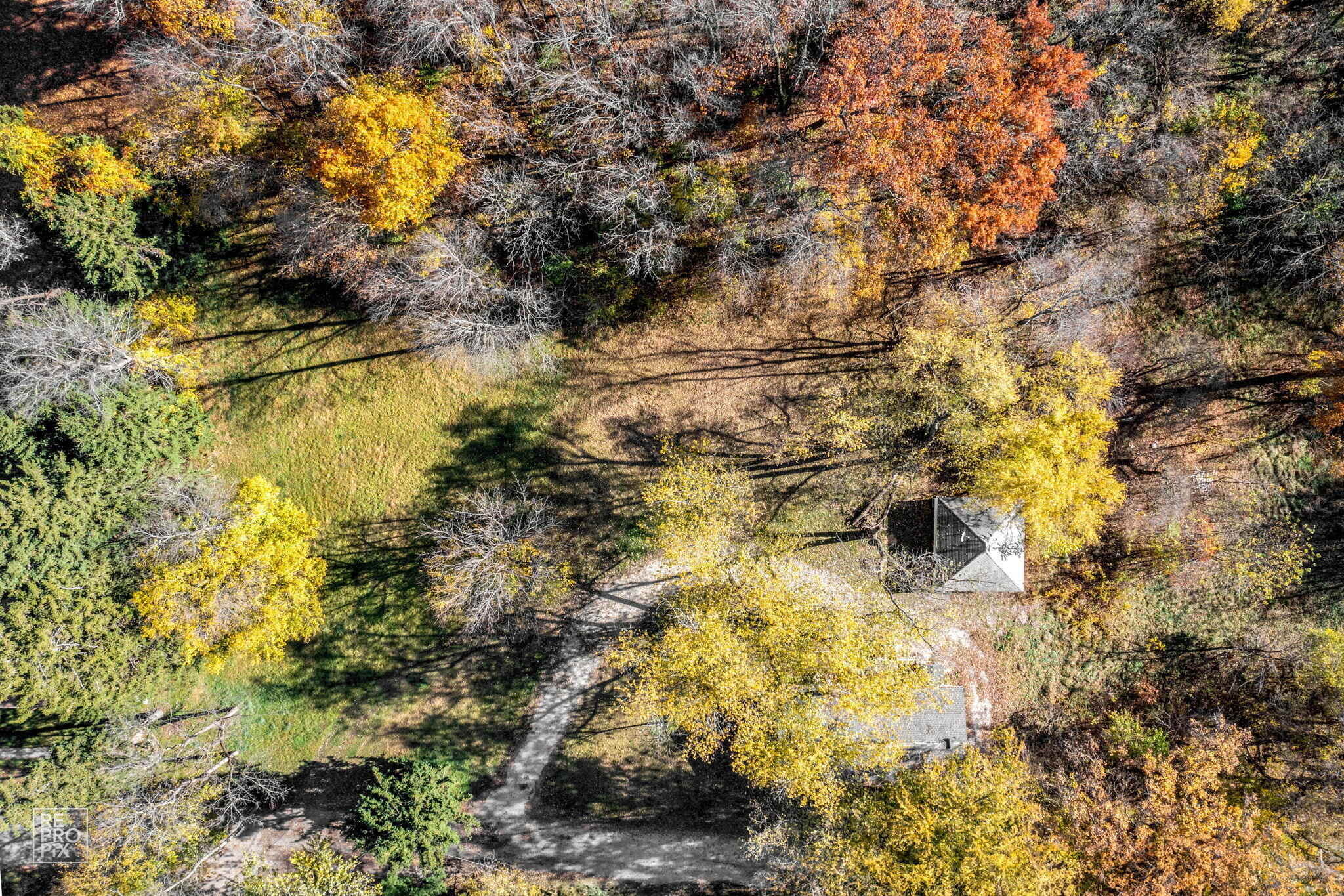 2815 Woodward Street