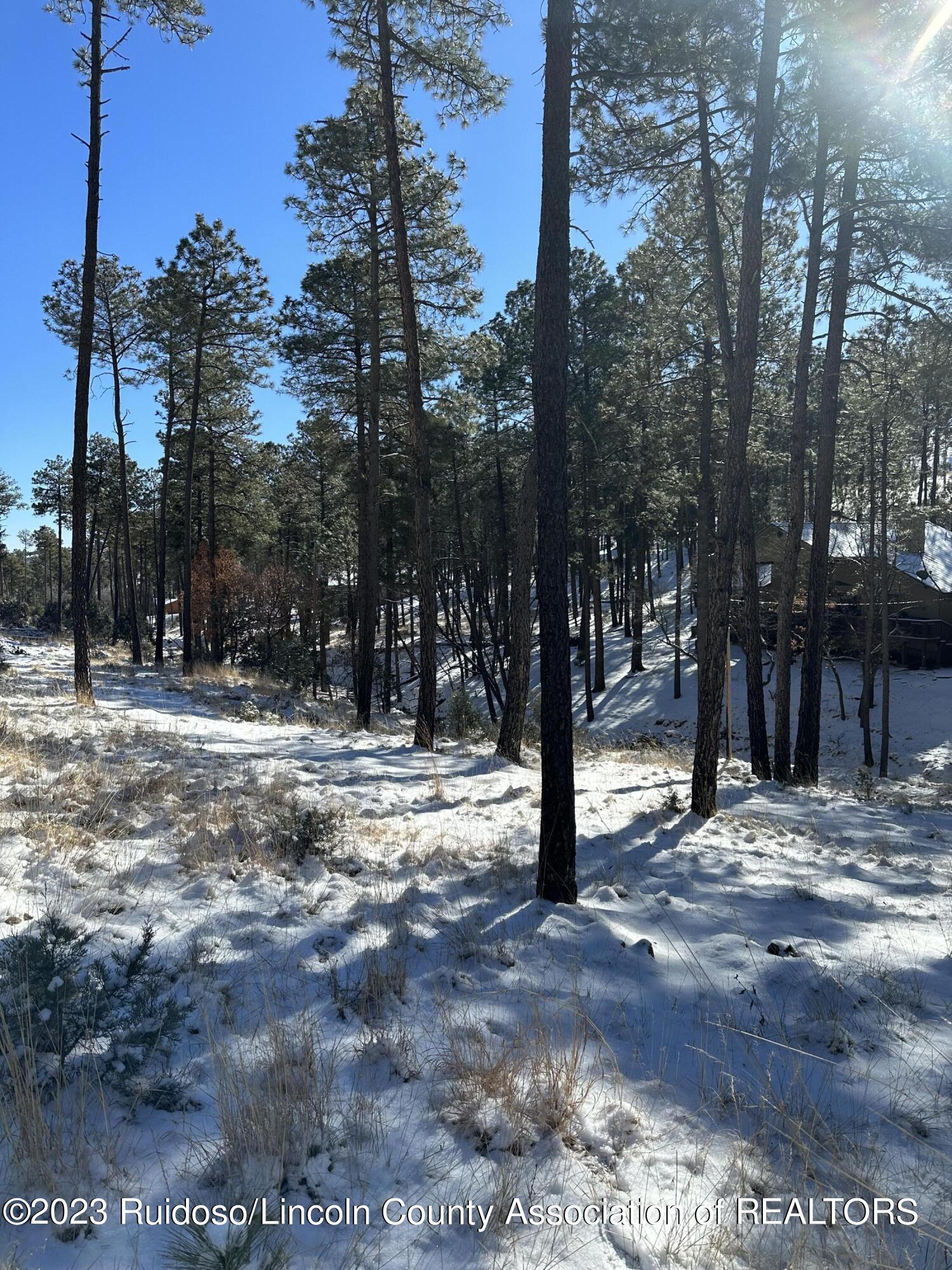 Stable Lot 1 Road
