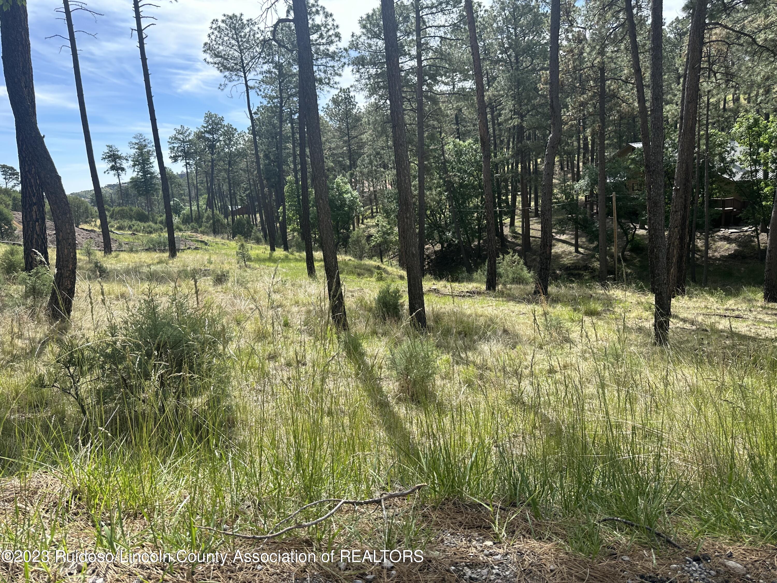 Stable Lot 1 Road