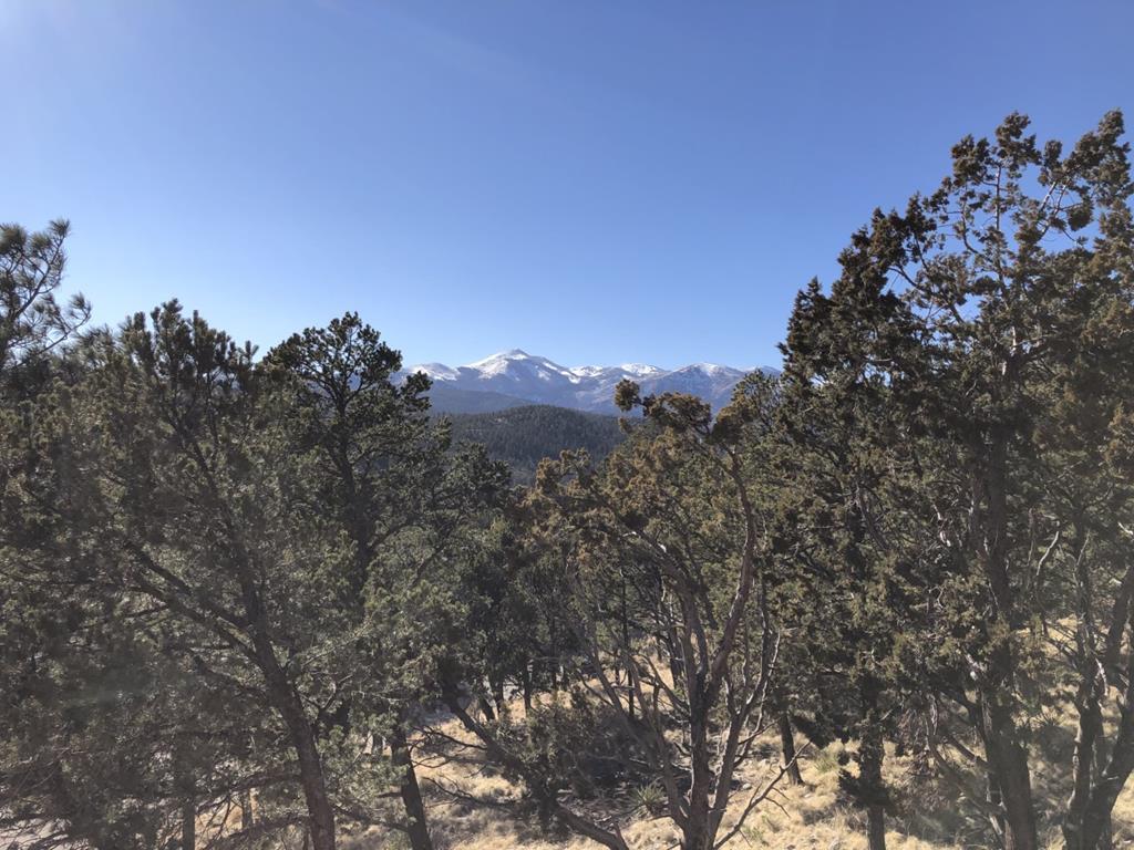 111 Buena Vista Drive, 1