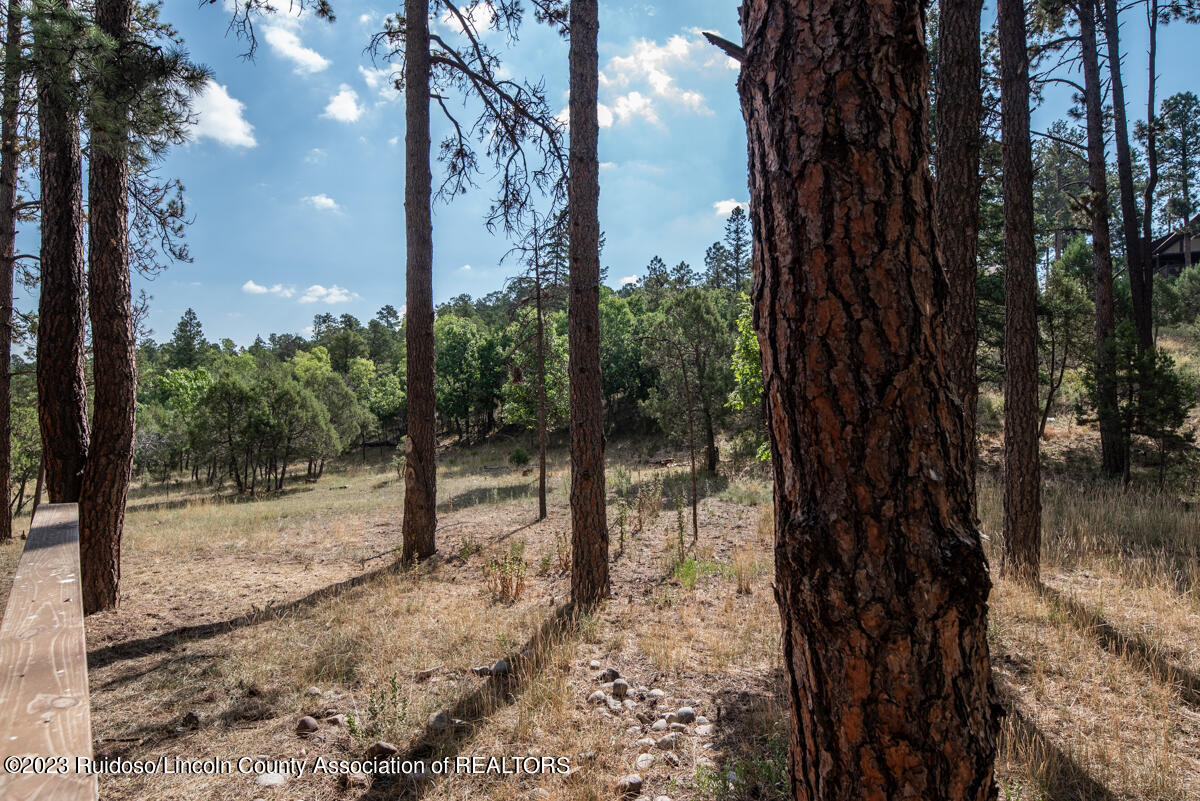 110 Sun Mountain Loop