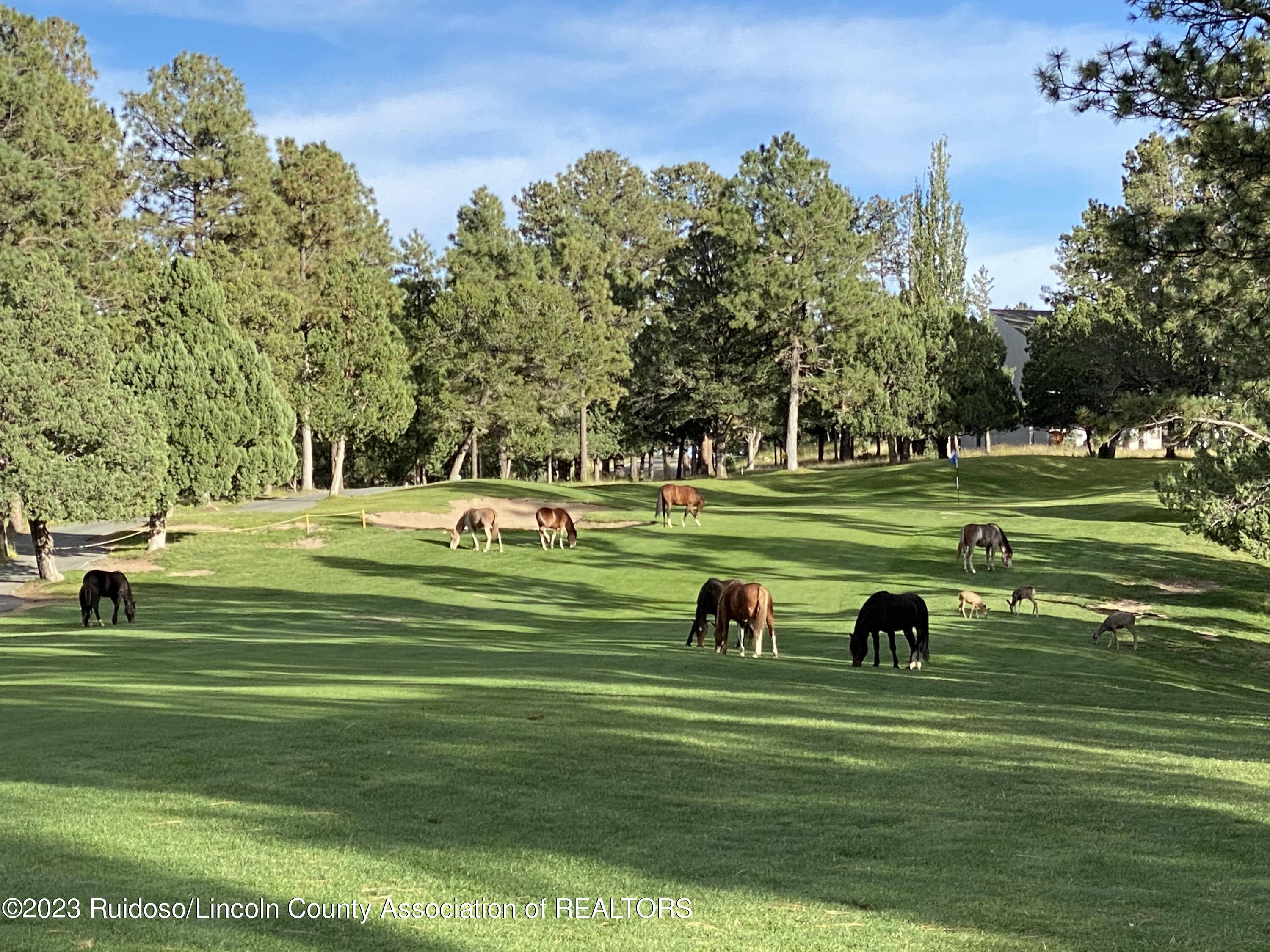 Lot 182 Saddleback Road, 8