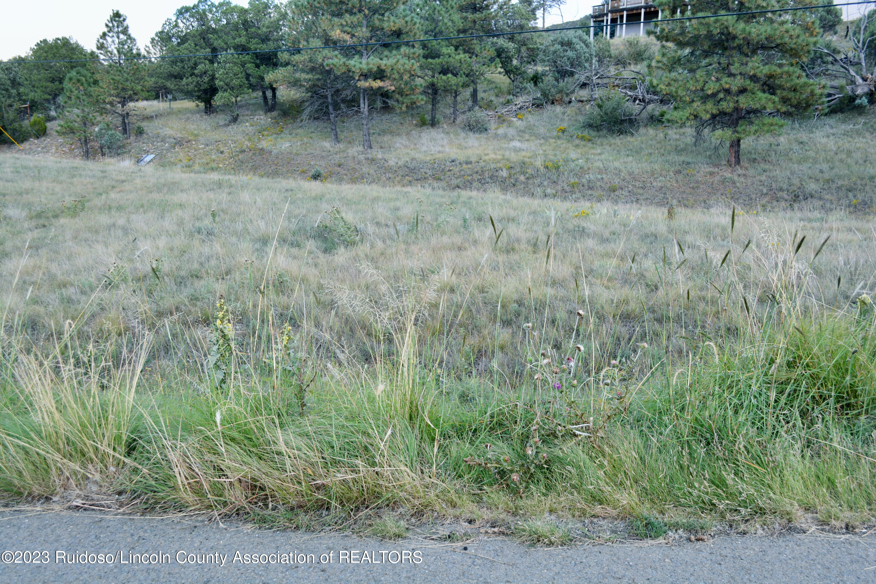 Lot 246 Saddleback Road