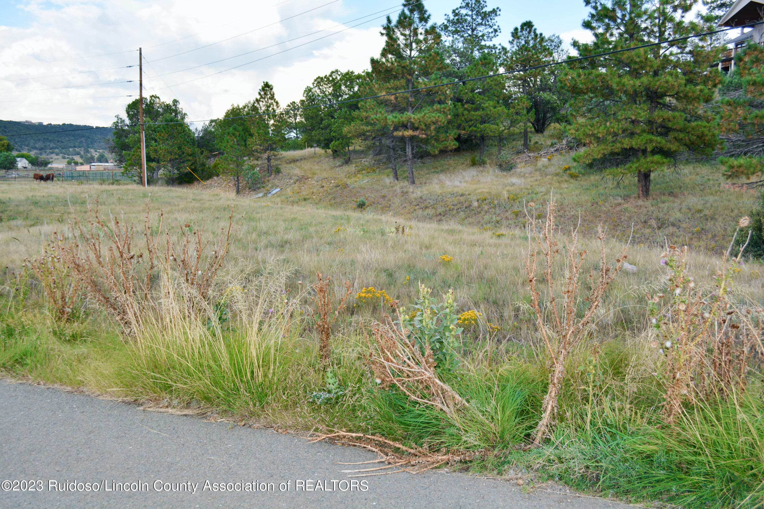Lot 246 Saddleback Road