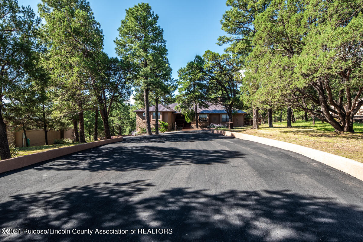 104 Wolf Run Lane