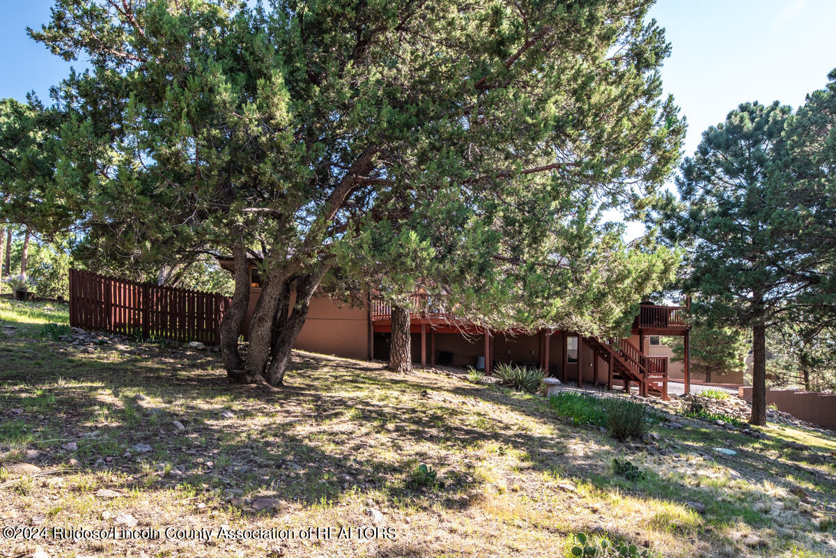 104 Wolf Run Lane