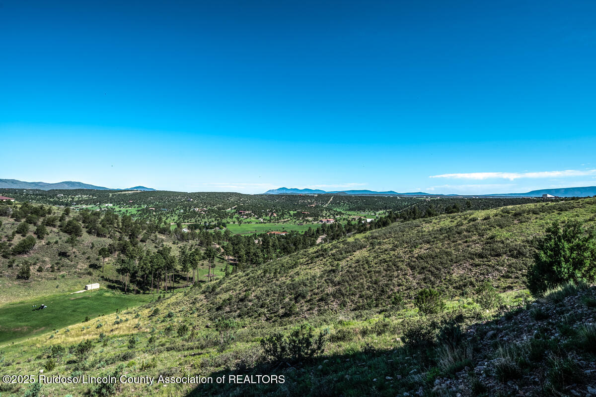 239 Lincoln Hills Drive