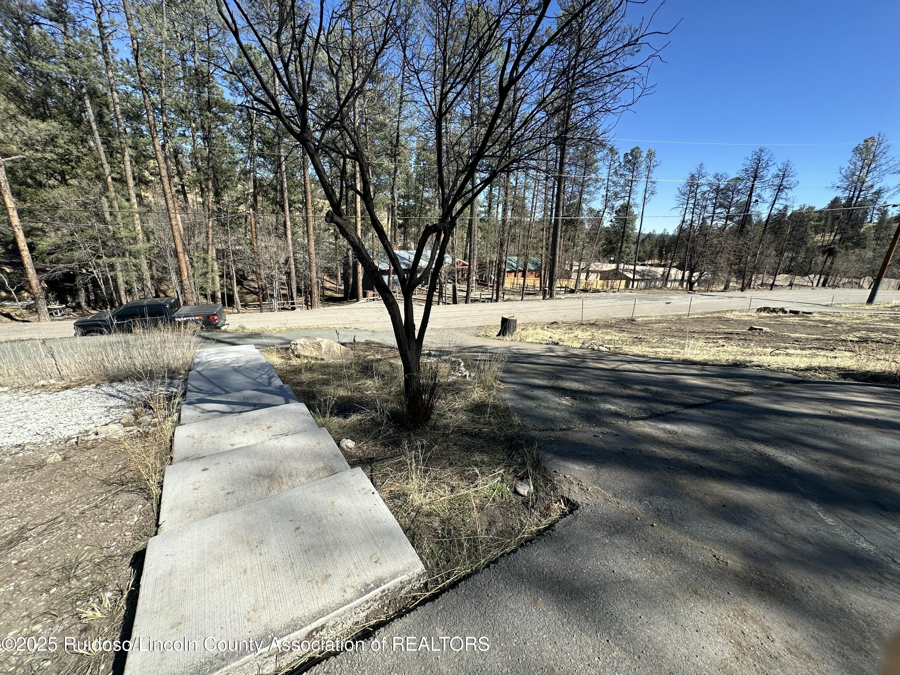 209 Sequoia Drive