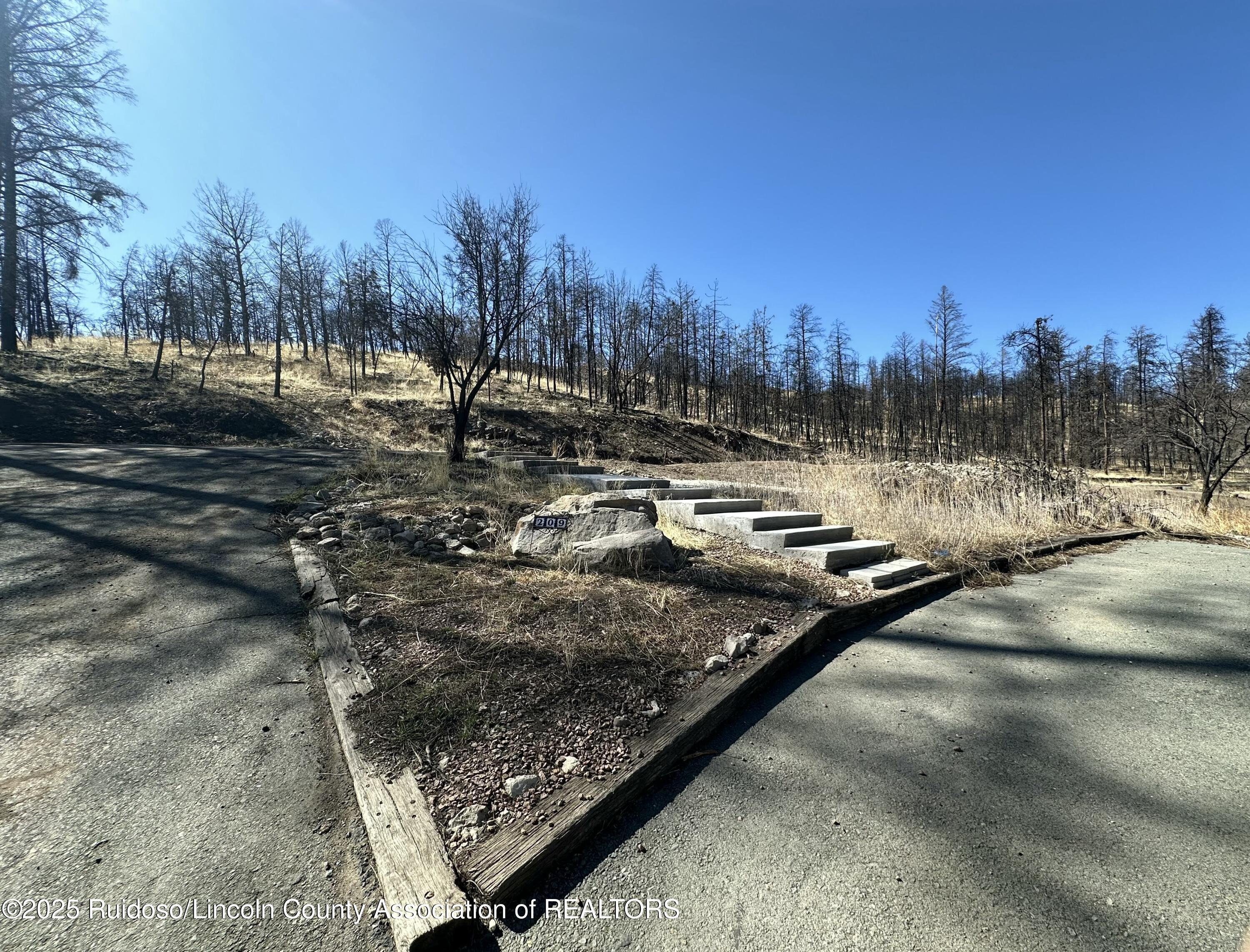 209 Sequoia Drive