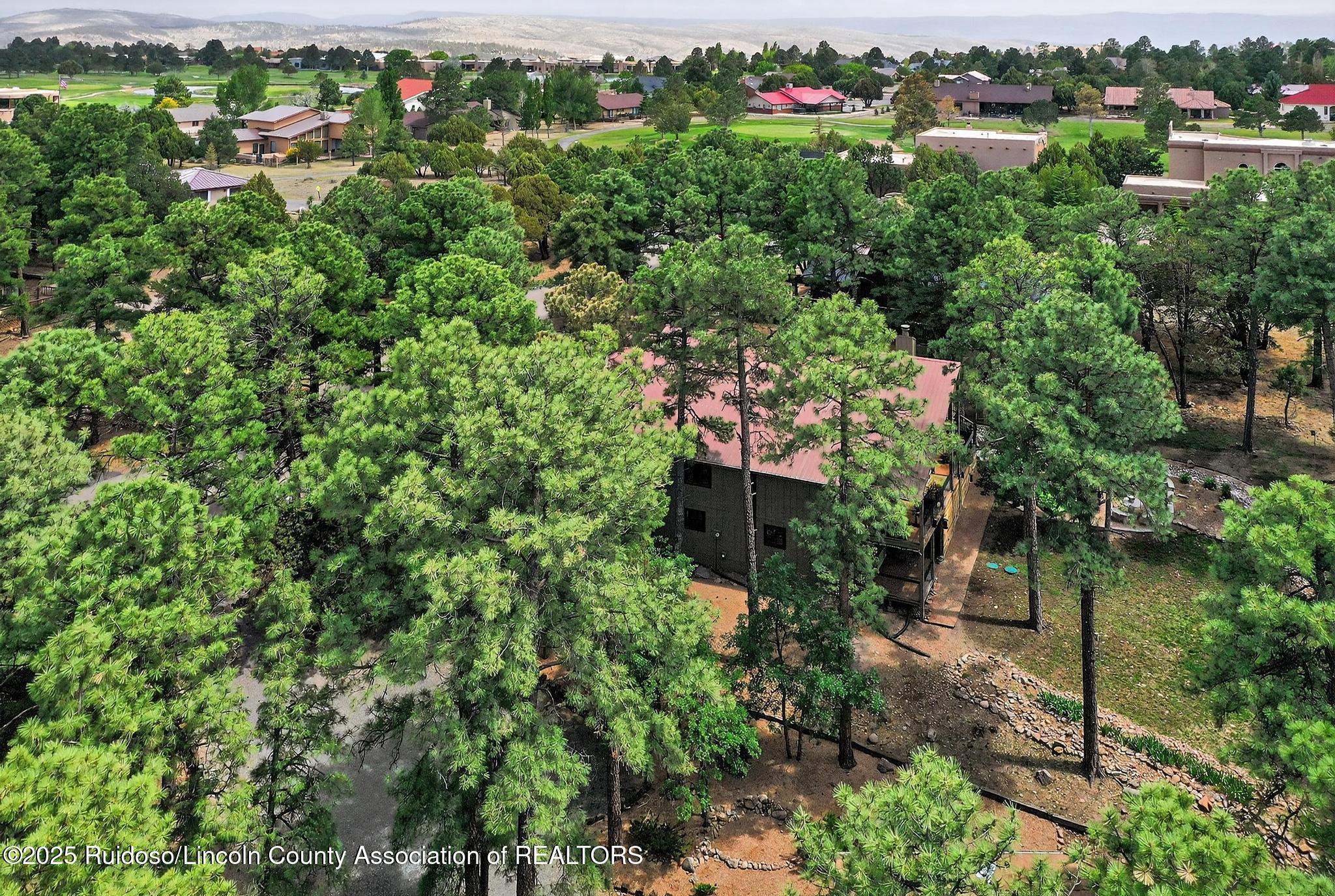 103 Bent Tree Court