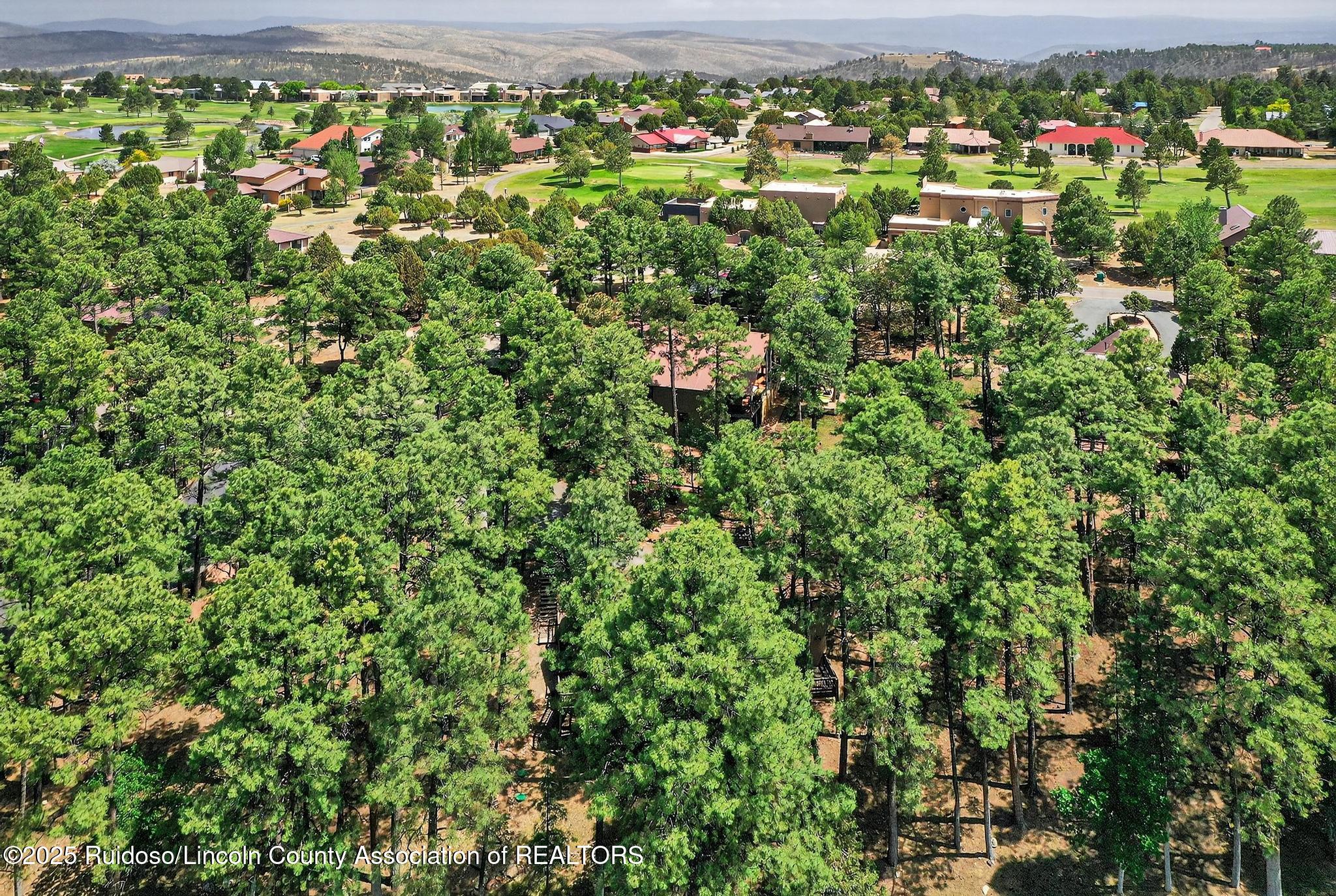103 Bent Tree Court