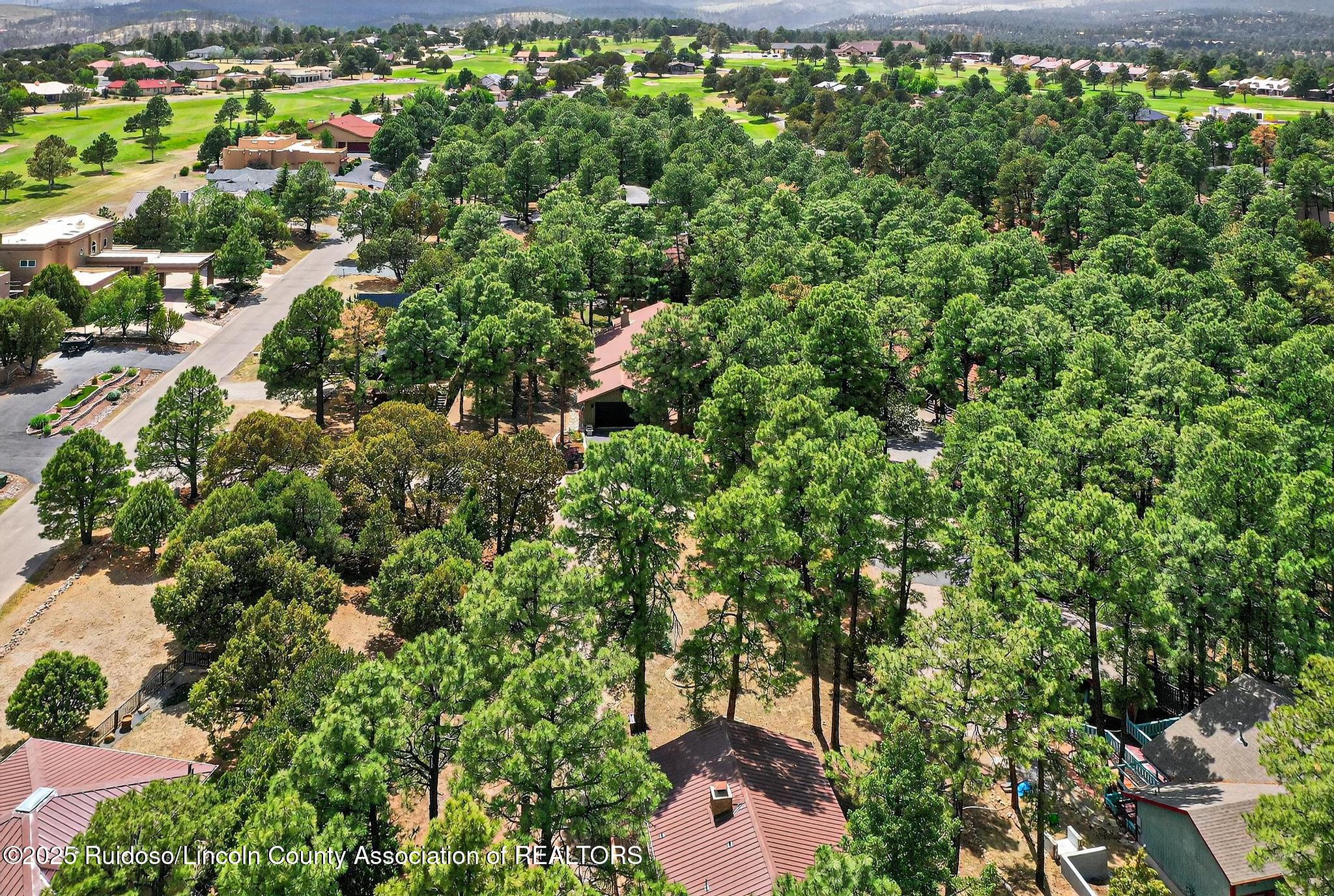 103 Bent Tree Court