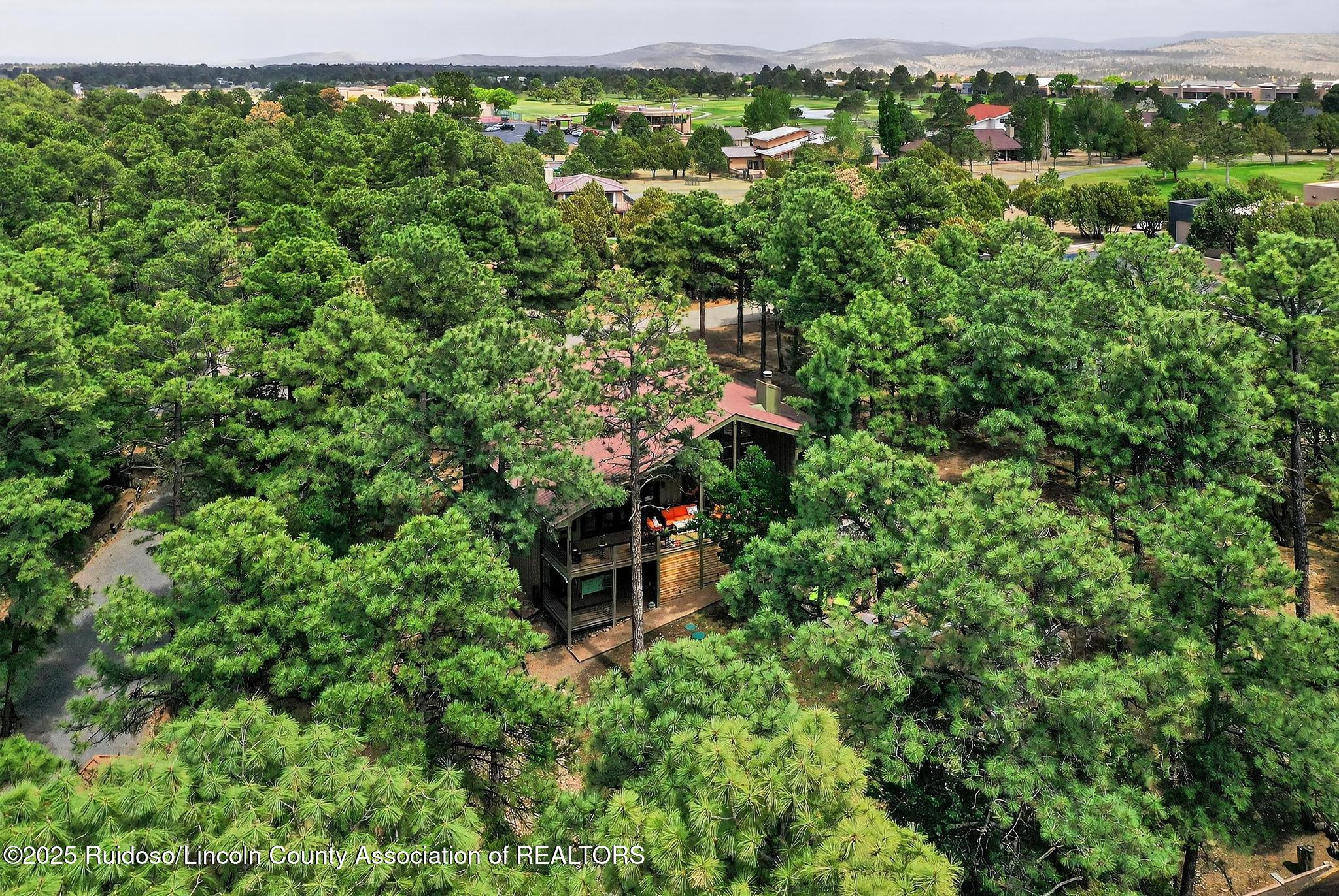 103 Bent Tree Court