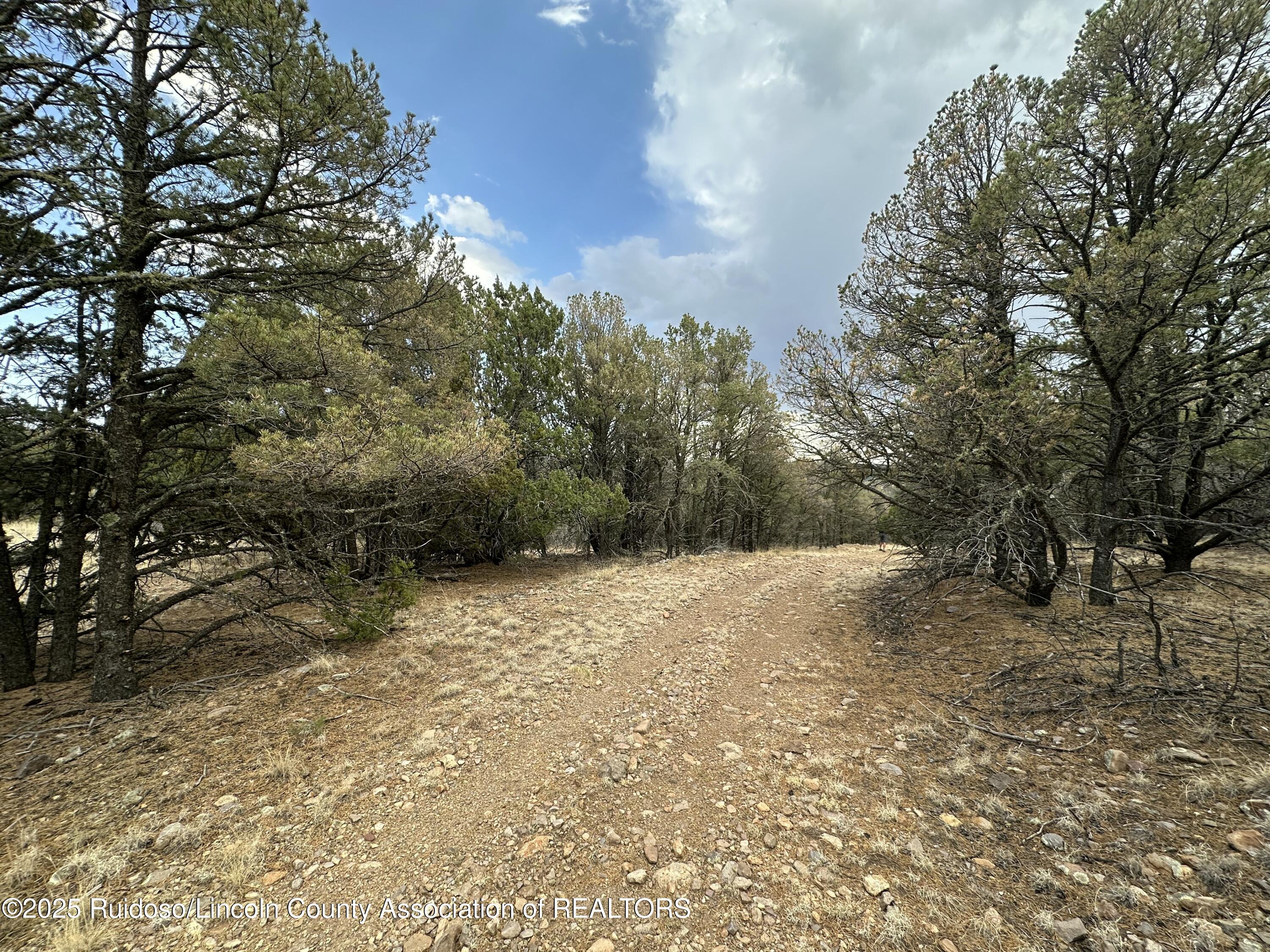 T1, 2 & 4 State Hwy 220