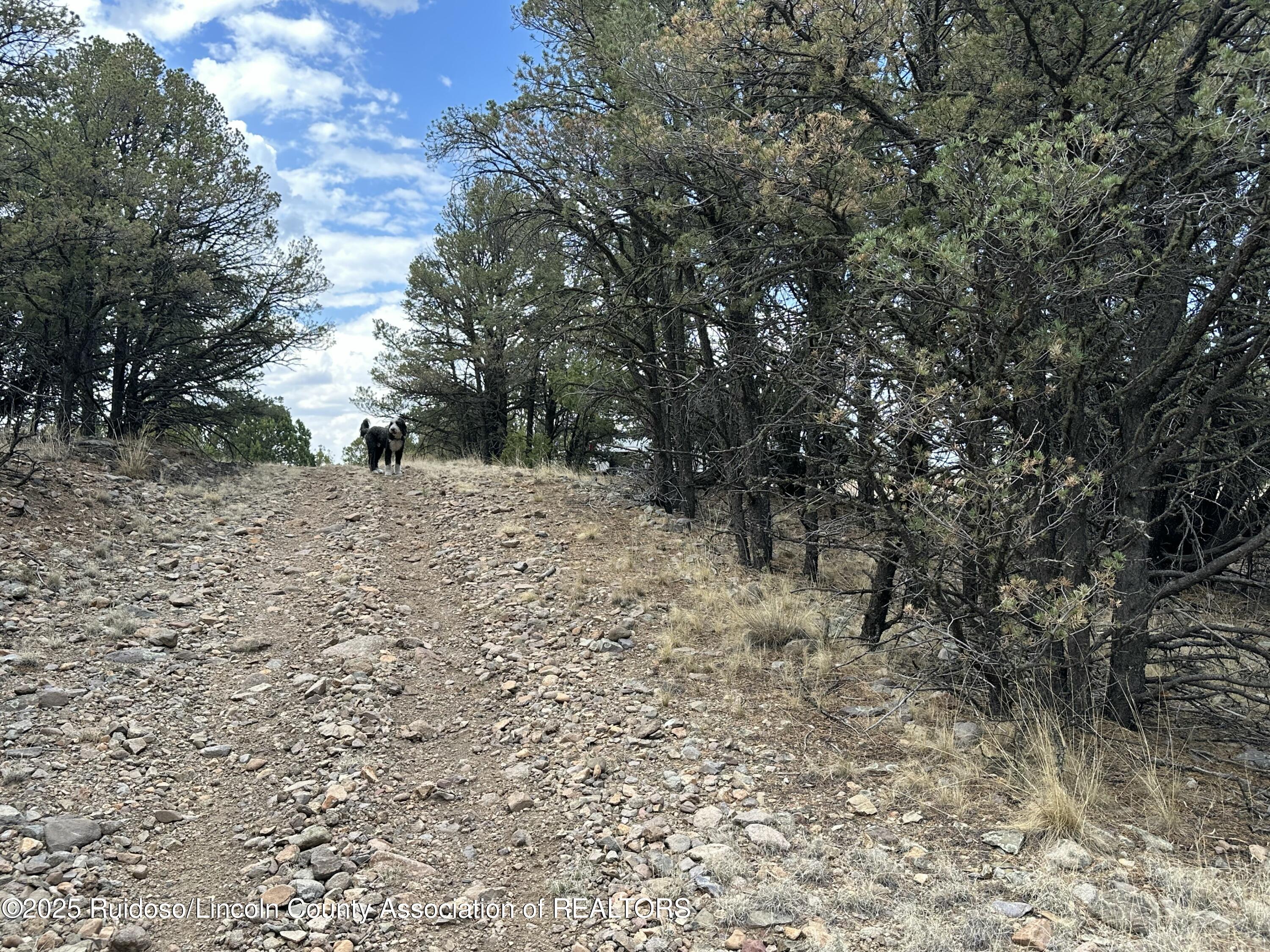 T1, 2 & 4 State Hwy 220