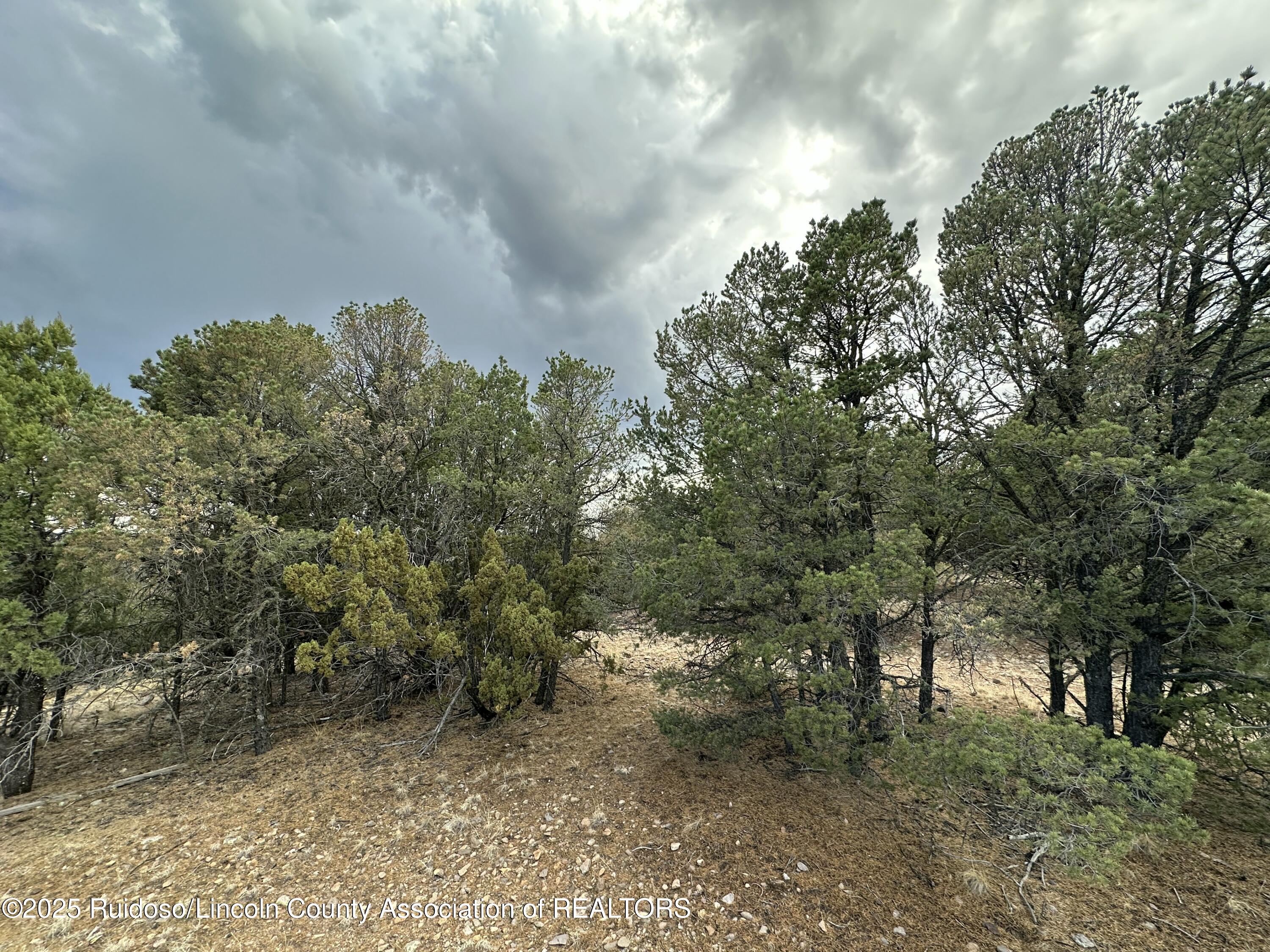 T1, 2 & 4 State Hwy 220