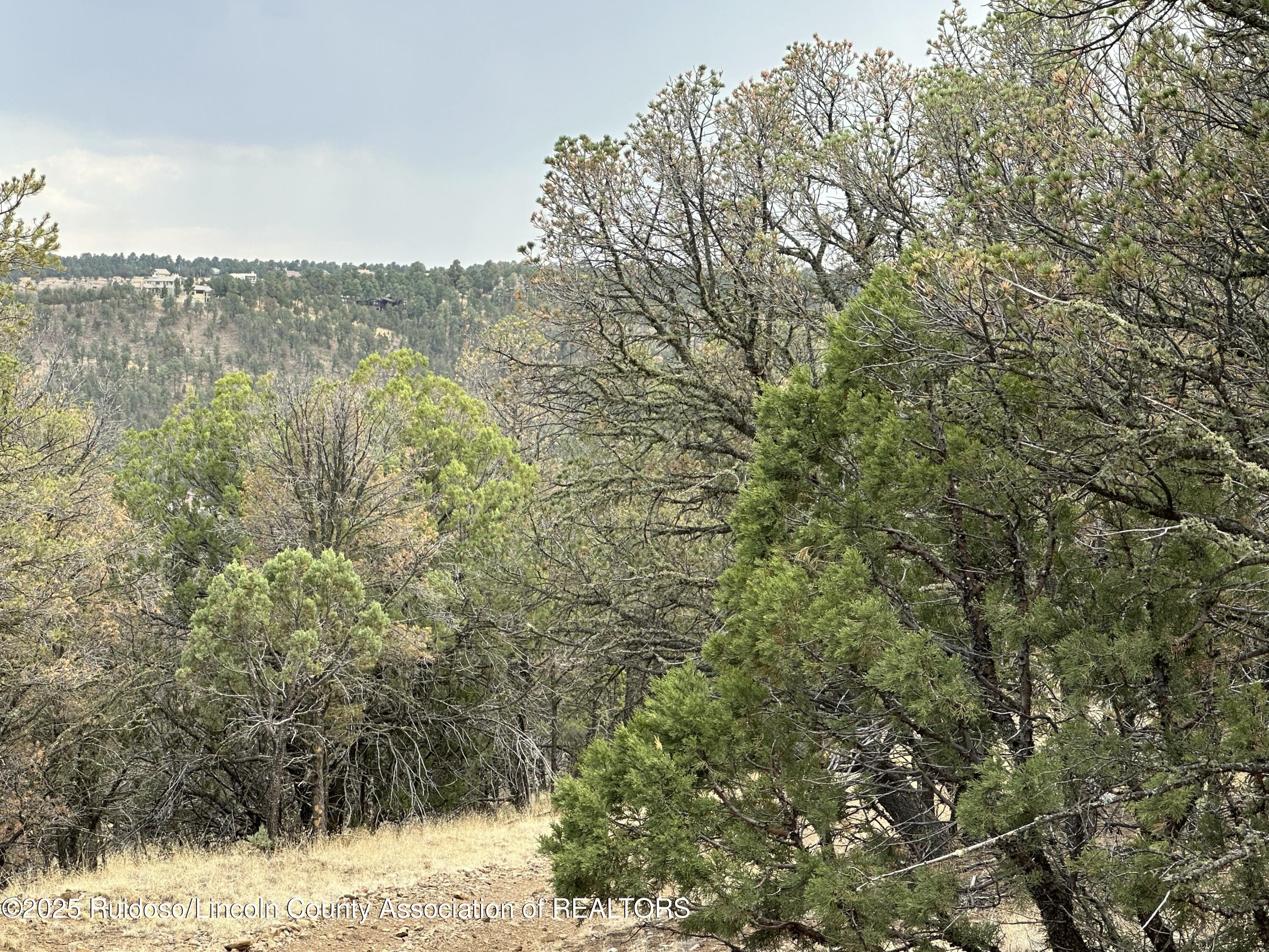 T1, 2 & 4 State Hwy 220