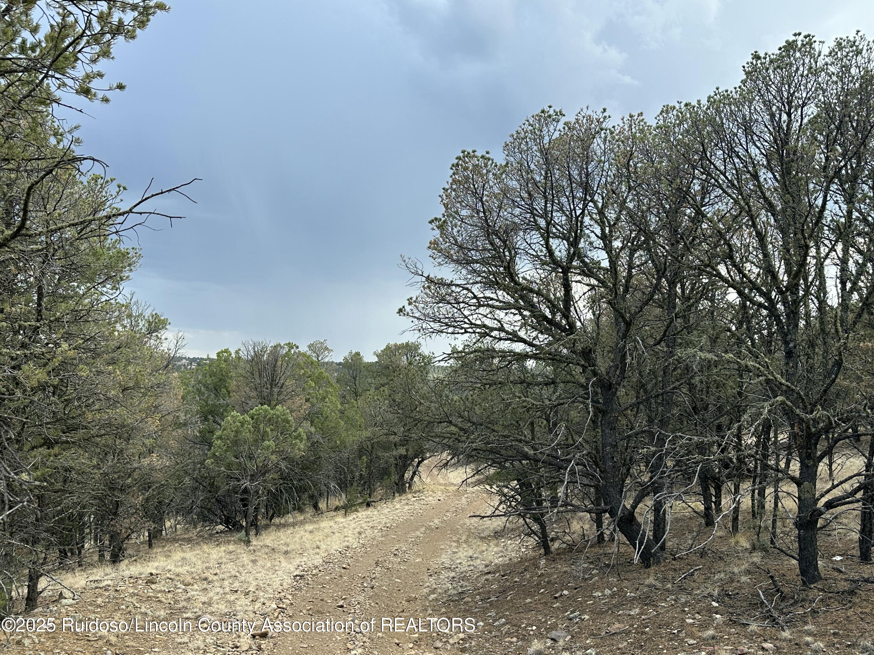 T1, 2 & 4 State Hwy 220