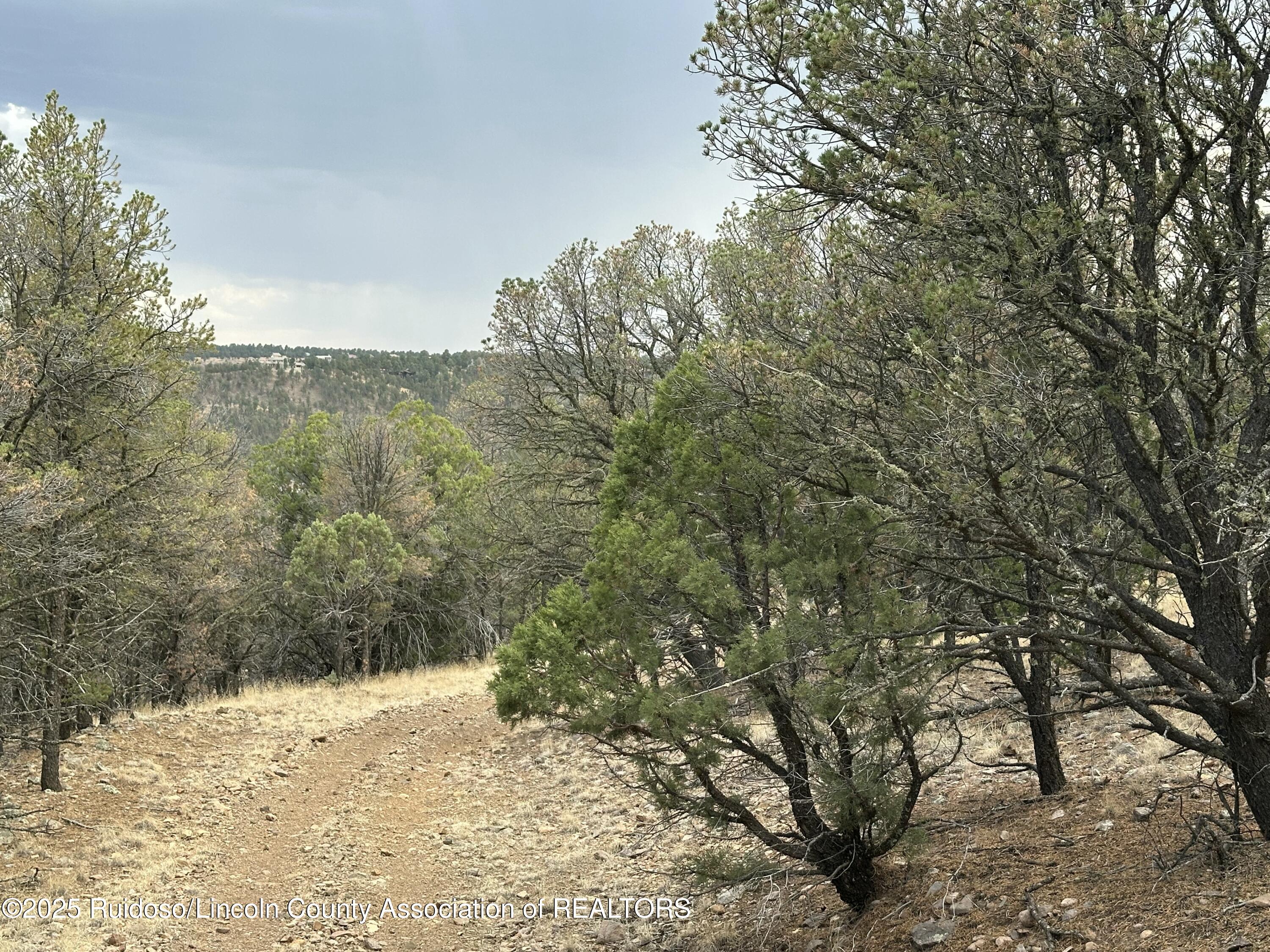 T1, 2 & 4 State Hwy 220