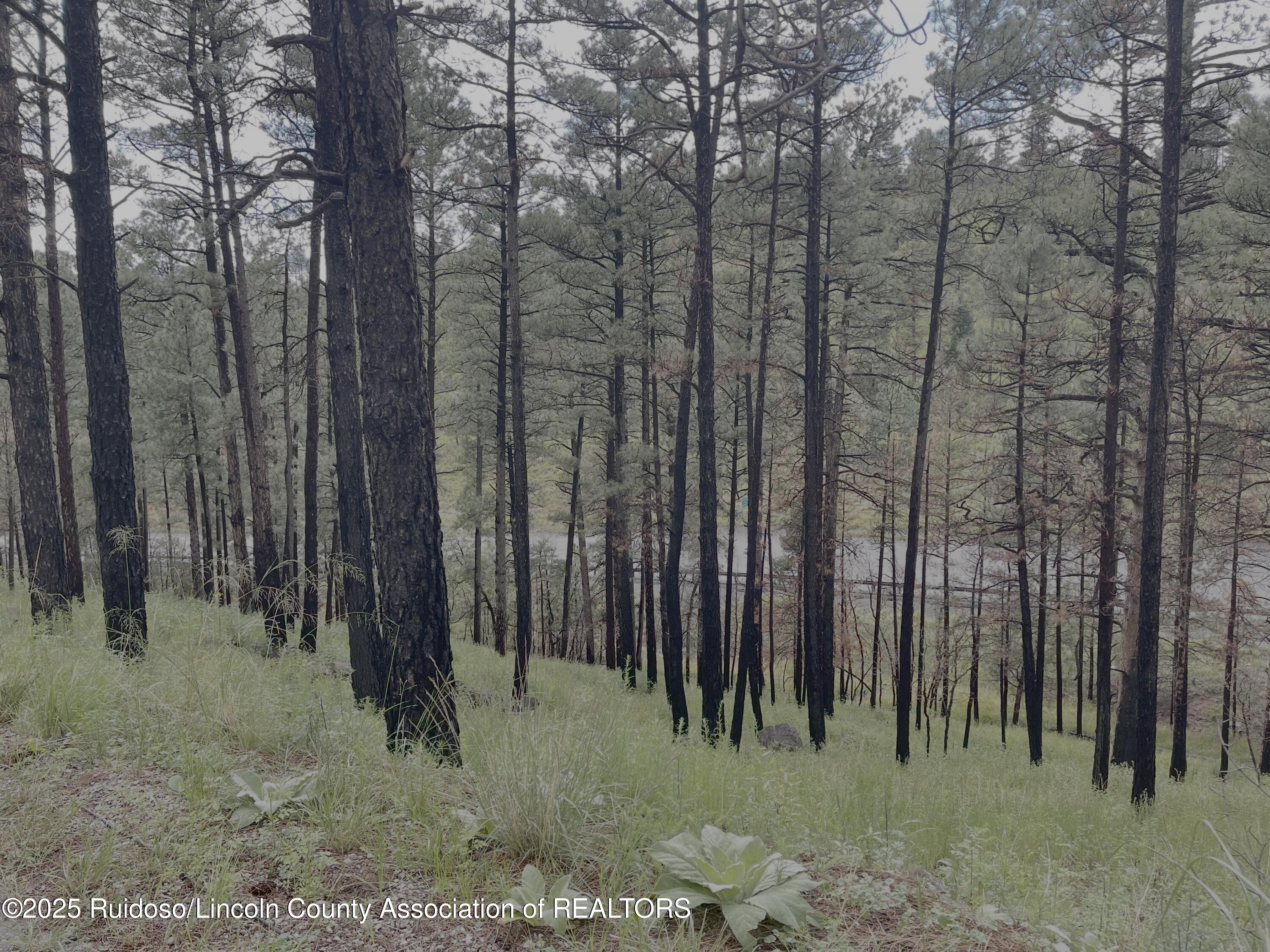 Lot 12 Brentwood Drive